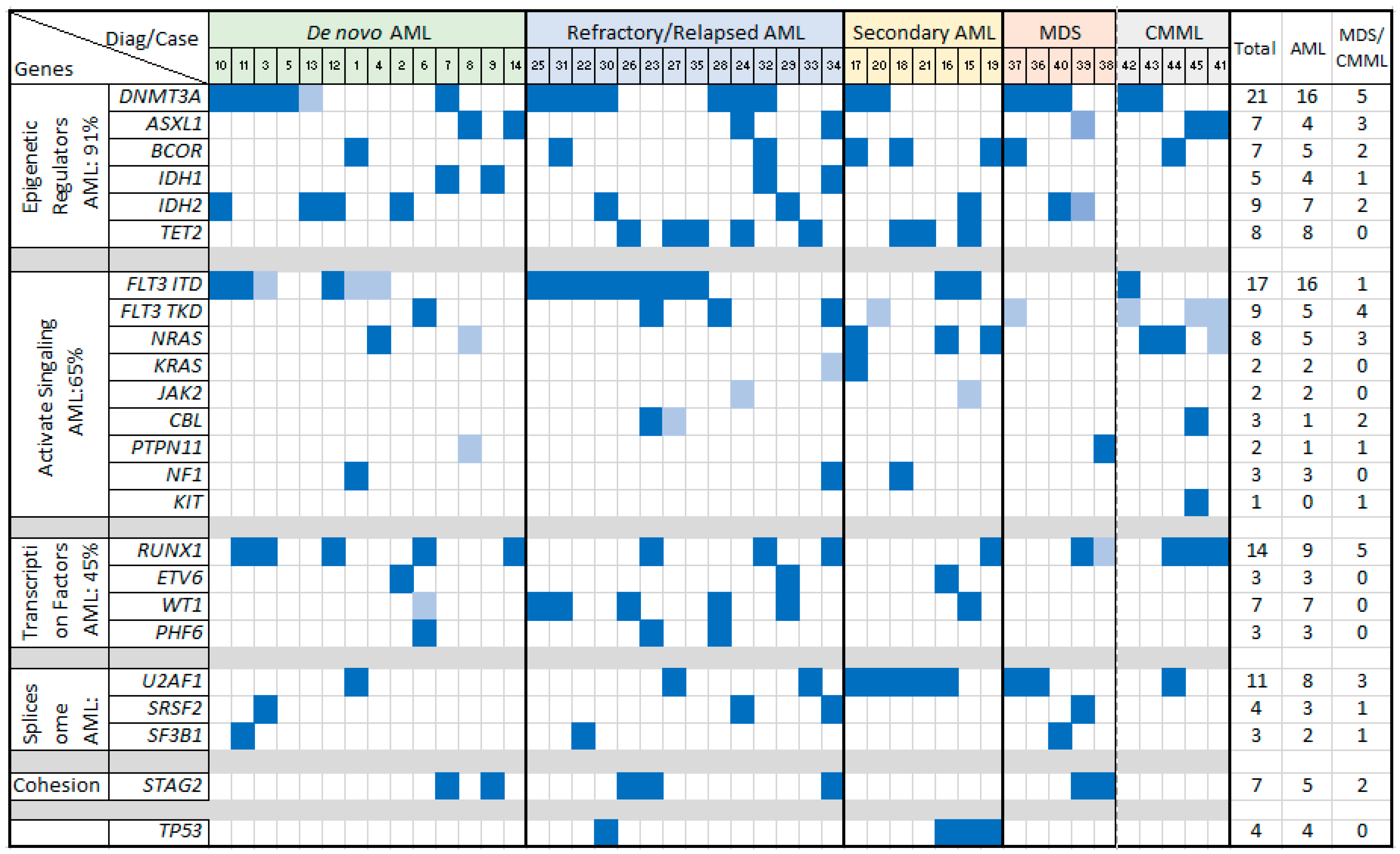 Cancers 16 04193 g002