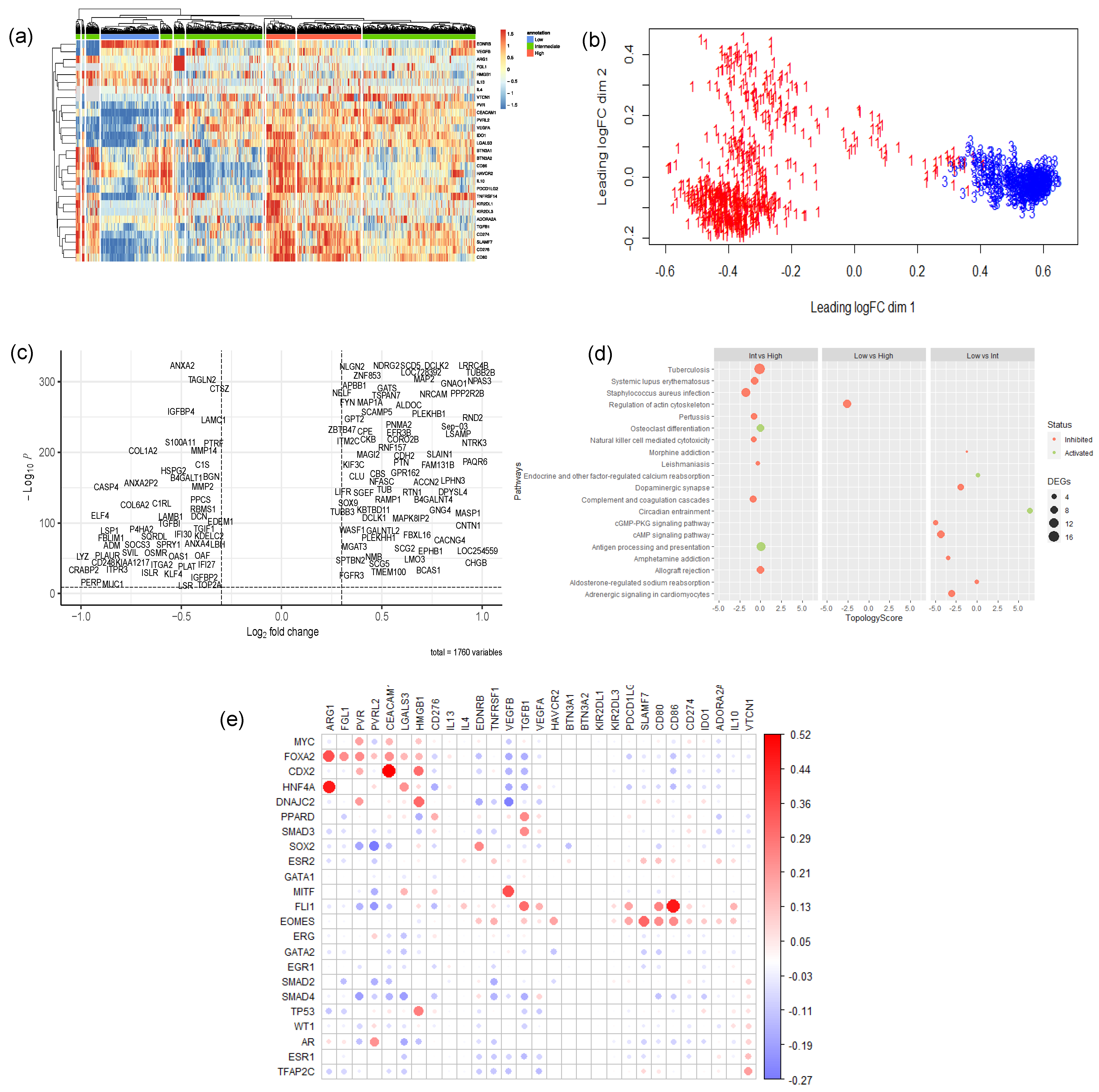 Cancers 16 04197 g002