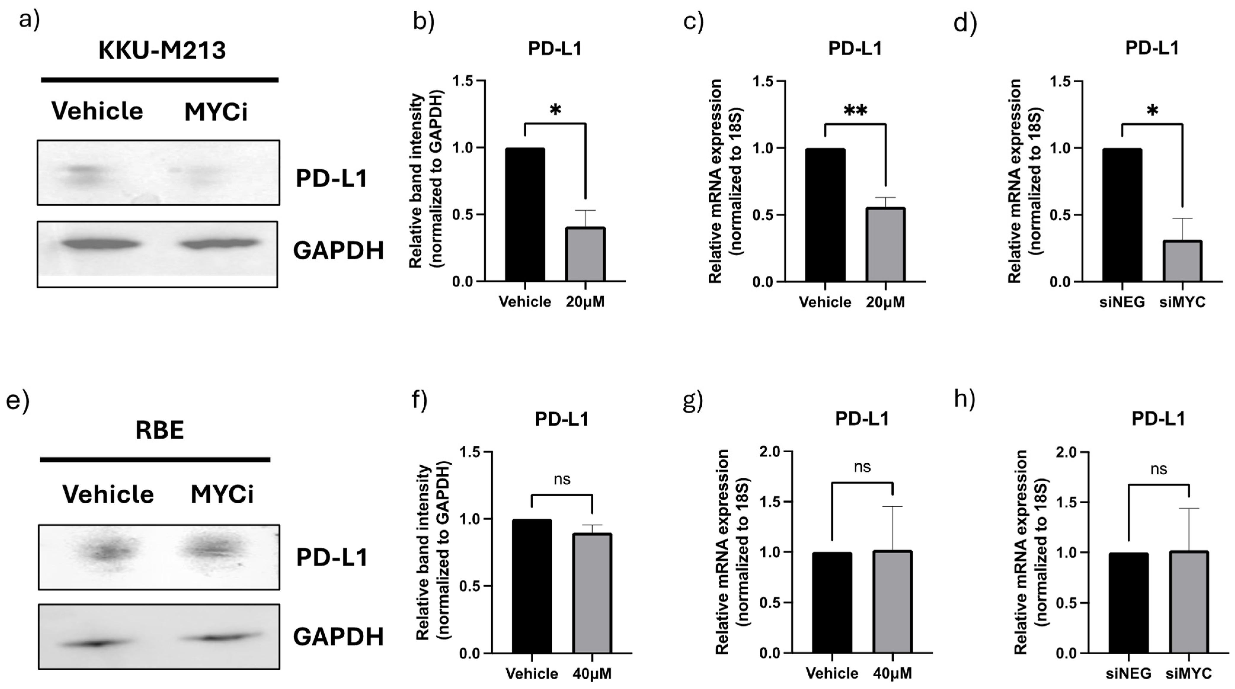 Cancers 16 04197 g004