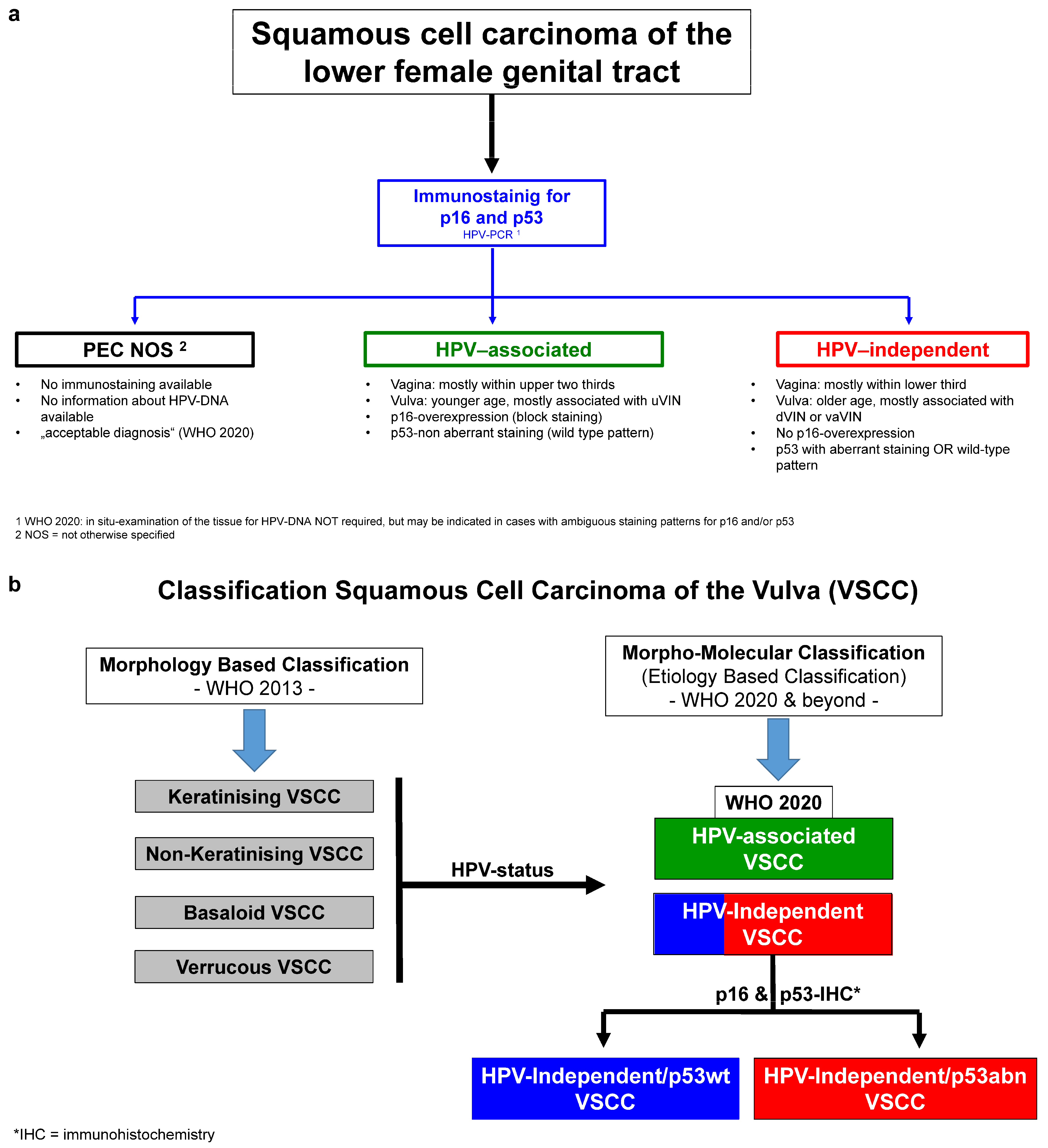 Cancers 16 04216 g001