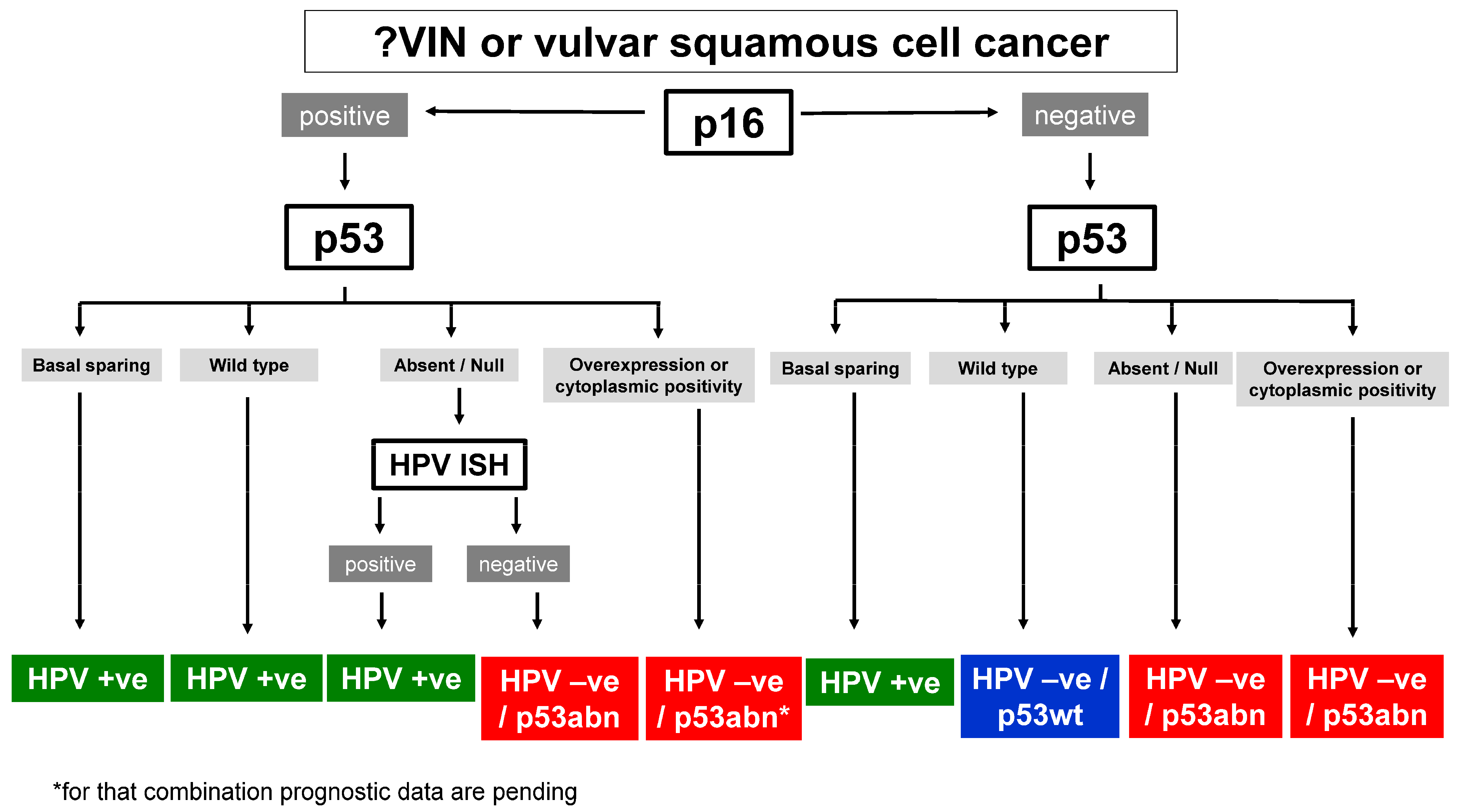 Cancers 16 04216 g004