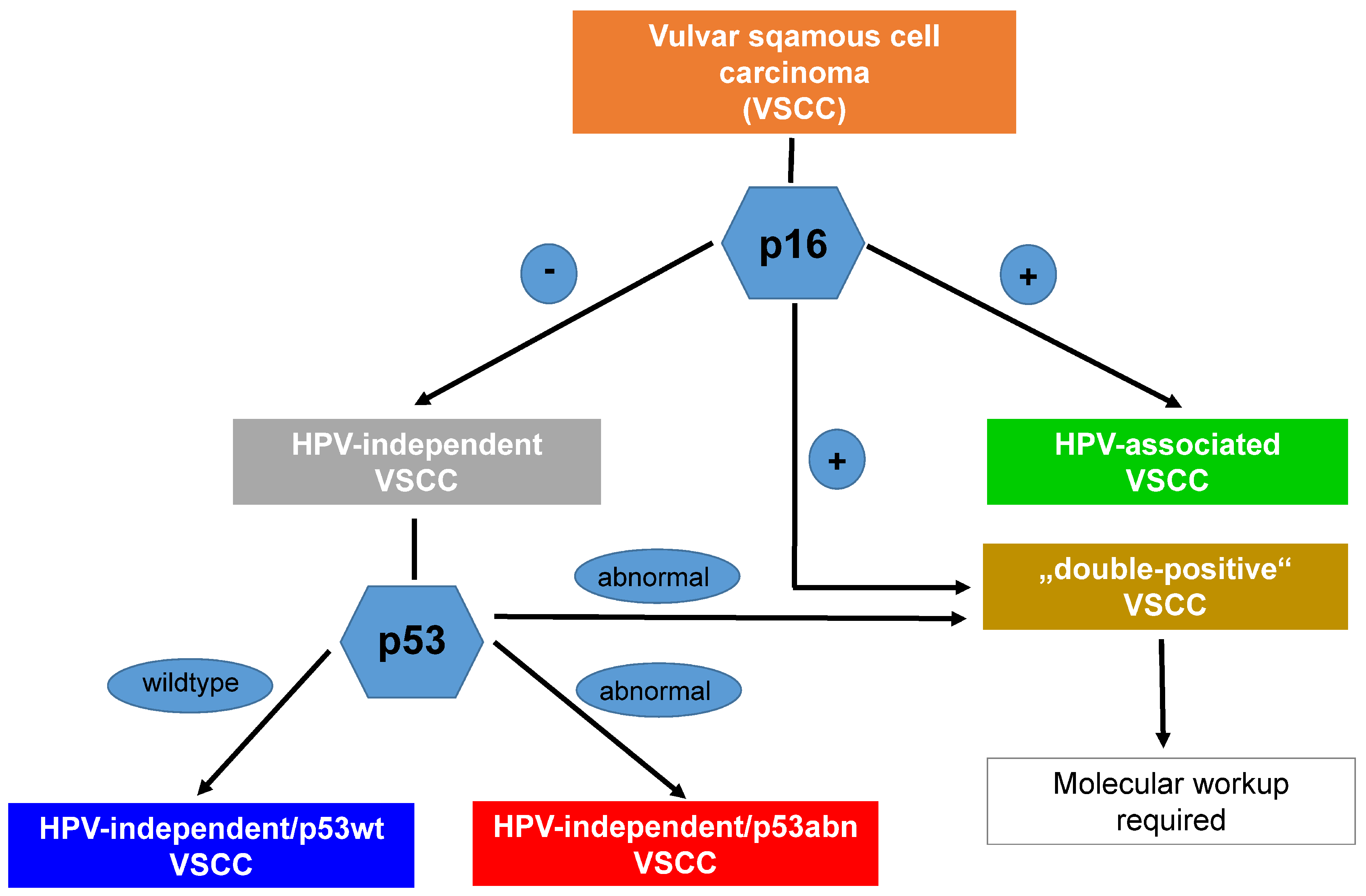 Cancers 16 04216 g006