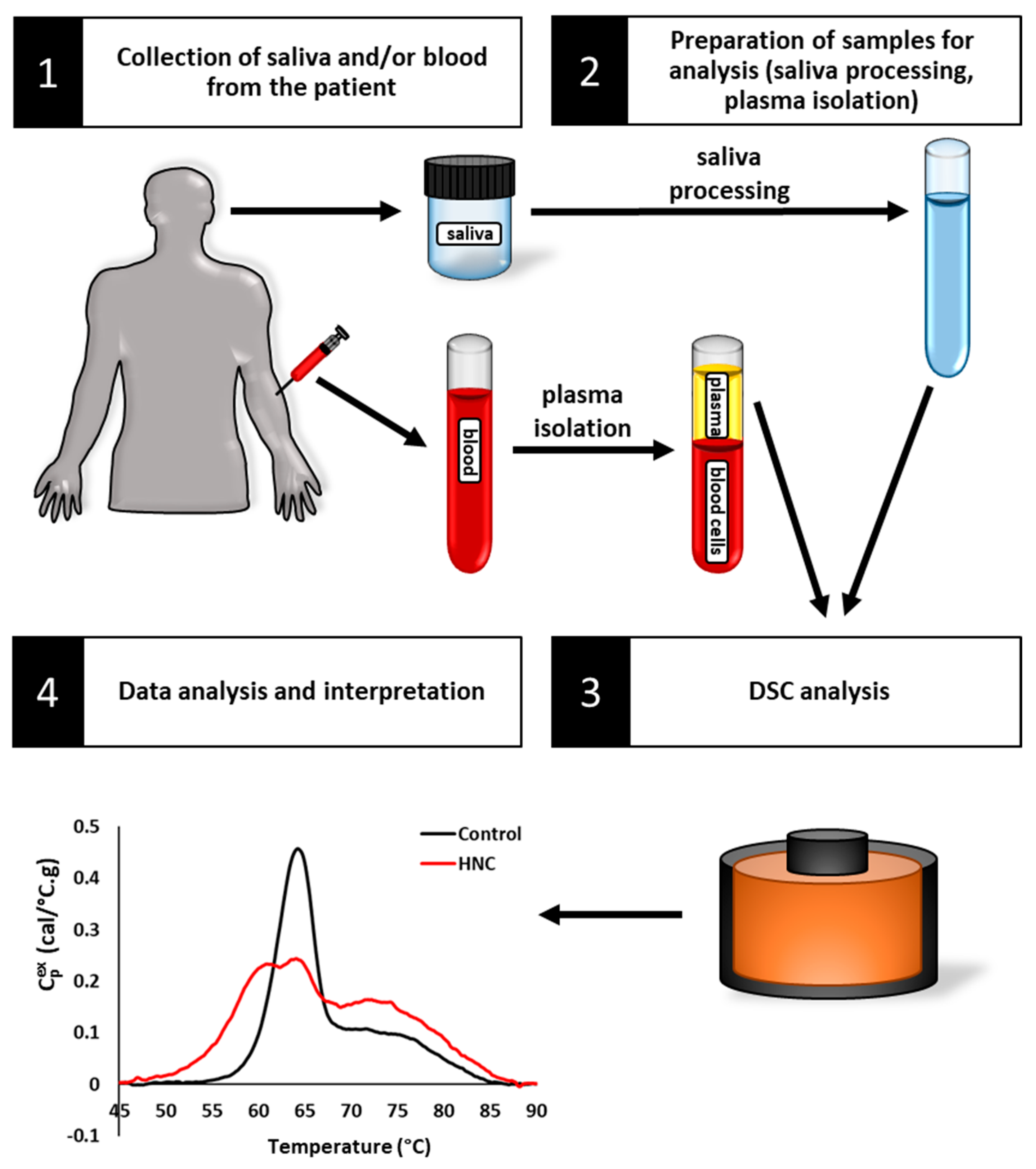Cancers 16 04220 g001