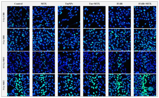 Cancers 16 04231 g0a1