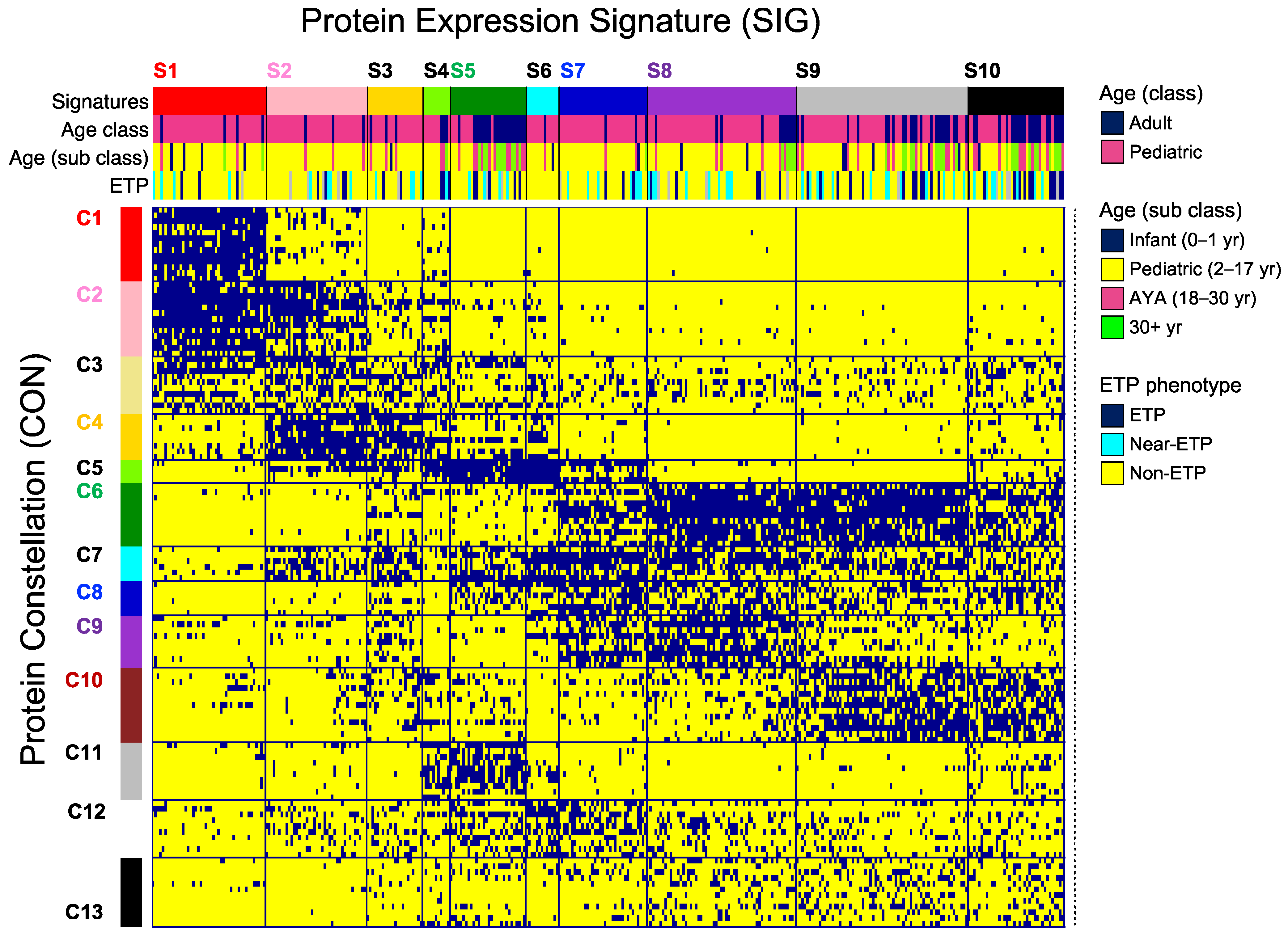 Cancers 16 04241 g001