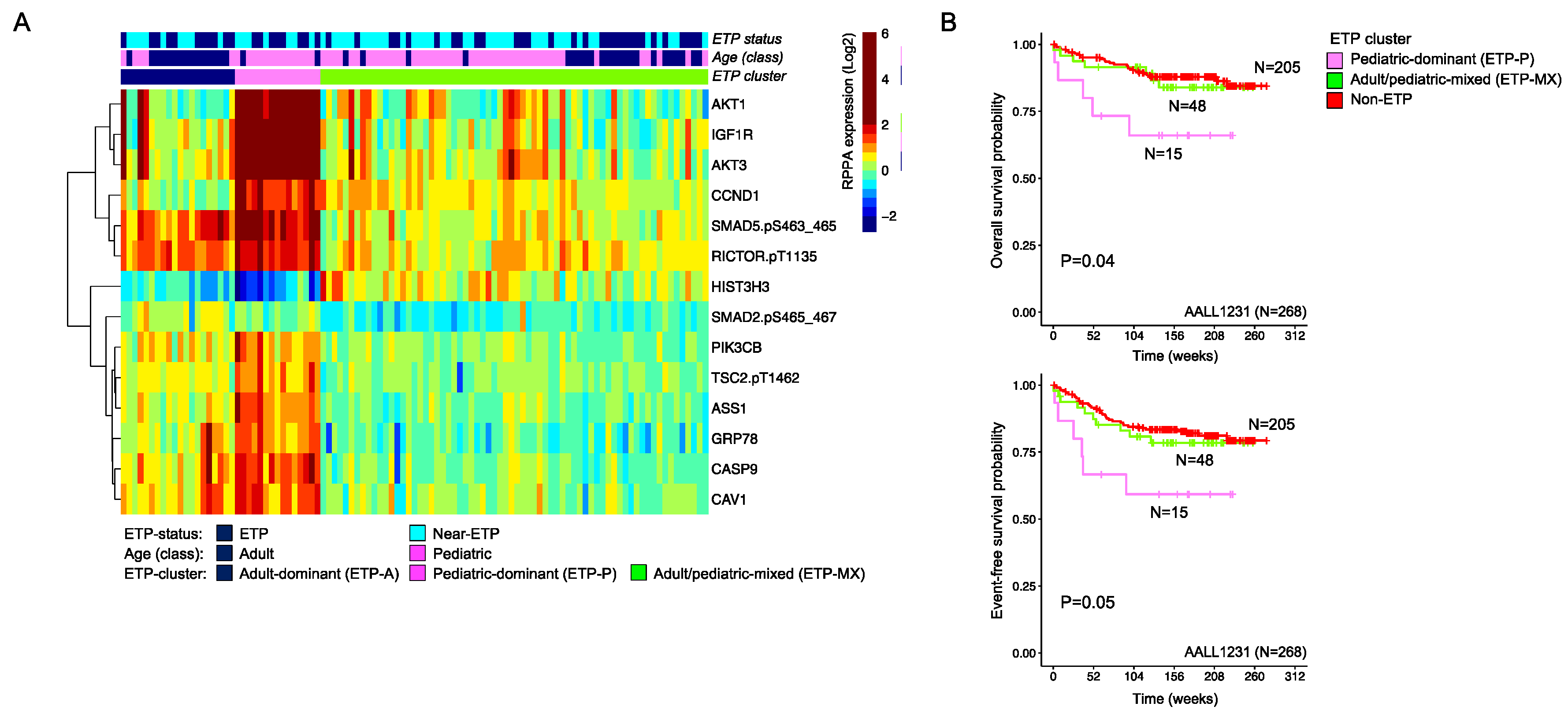 Cancers 16 04241 g003