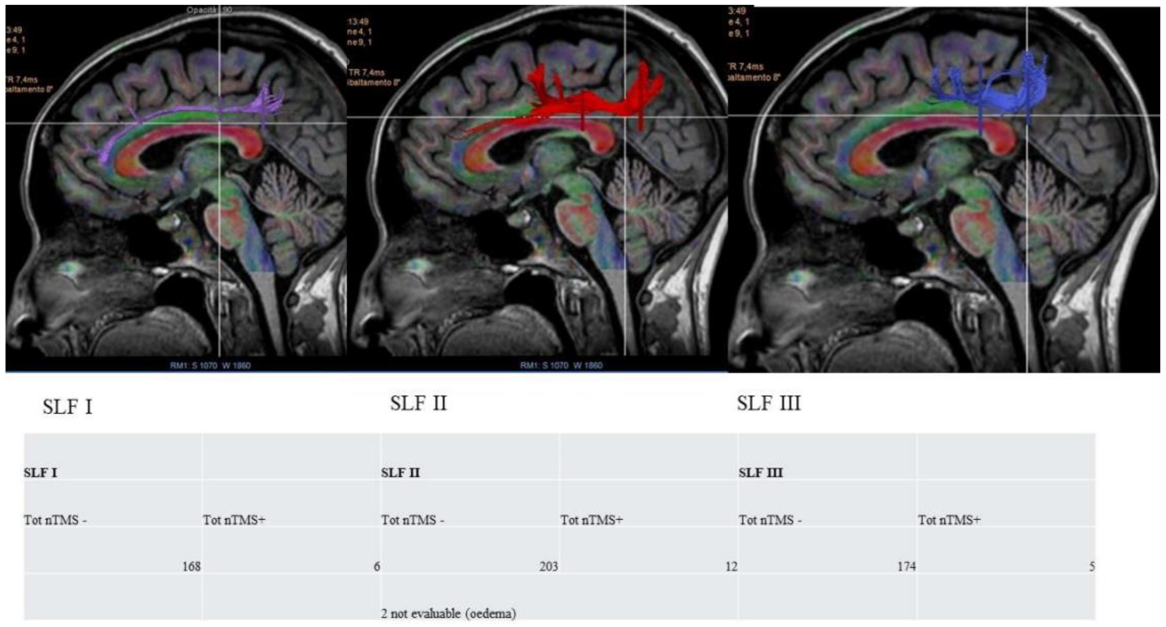 Cancers 16 04250 g003