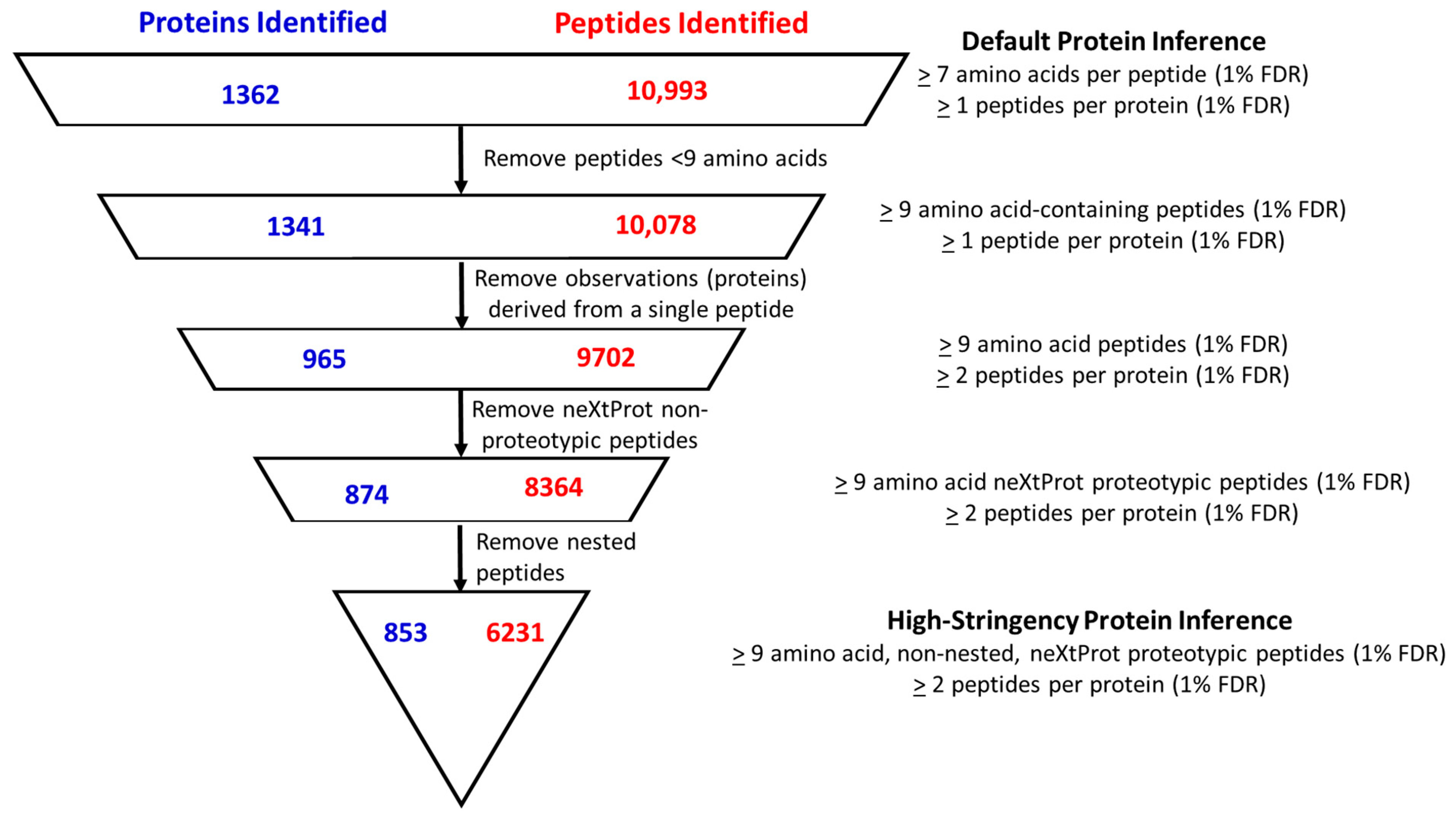 Cancers 16 04259 g001