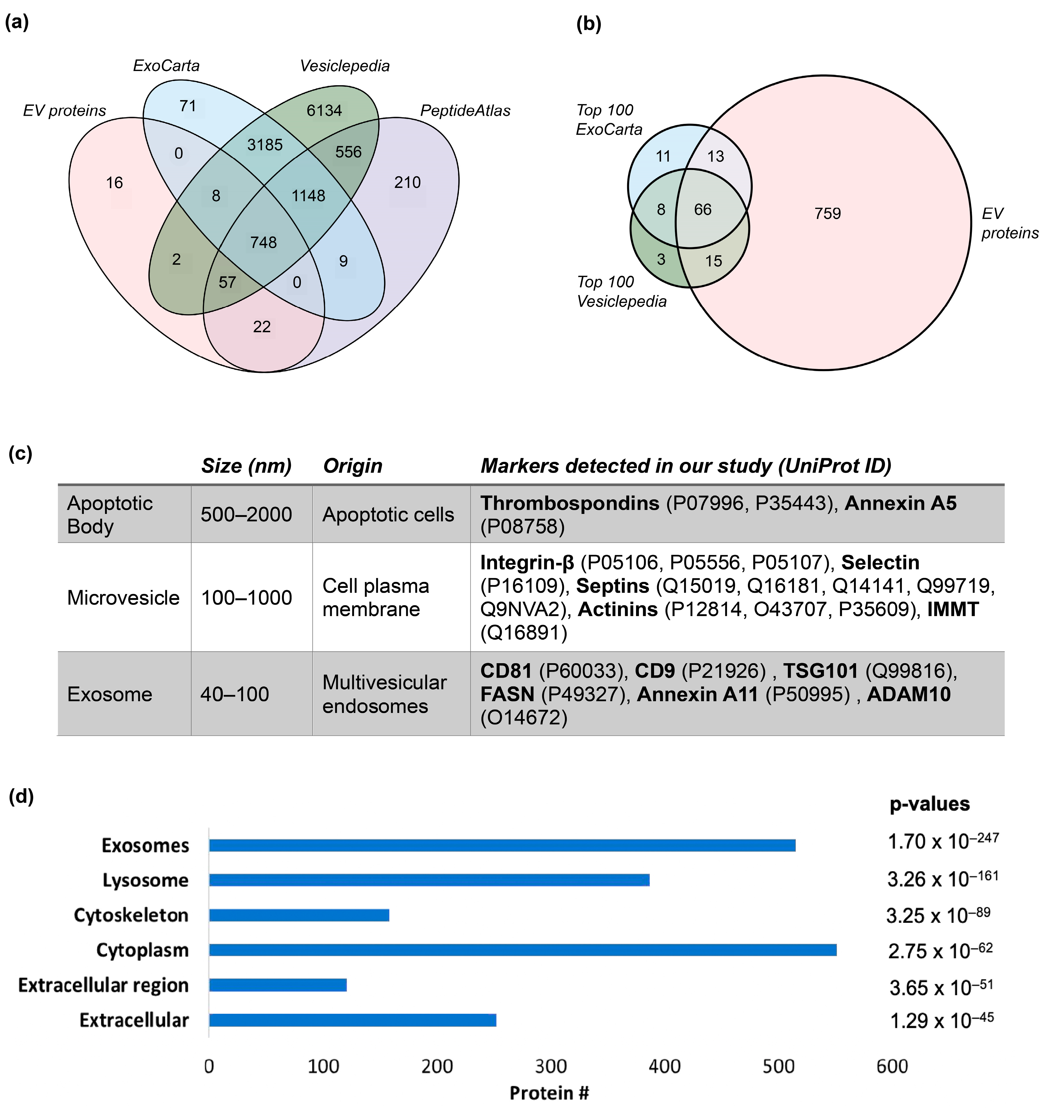 Cancers 16 04259 g002