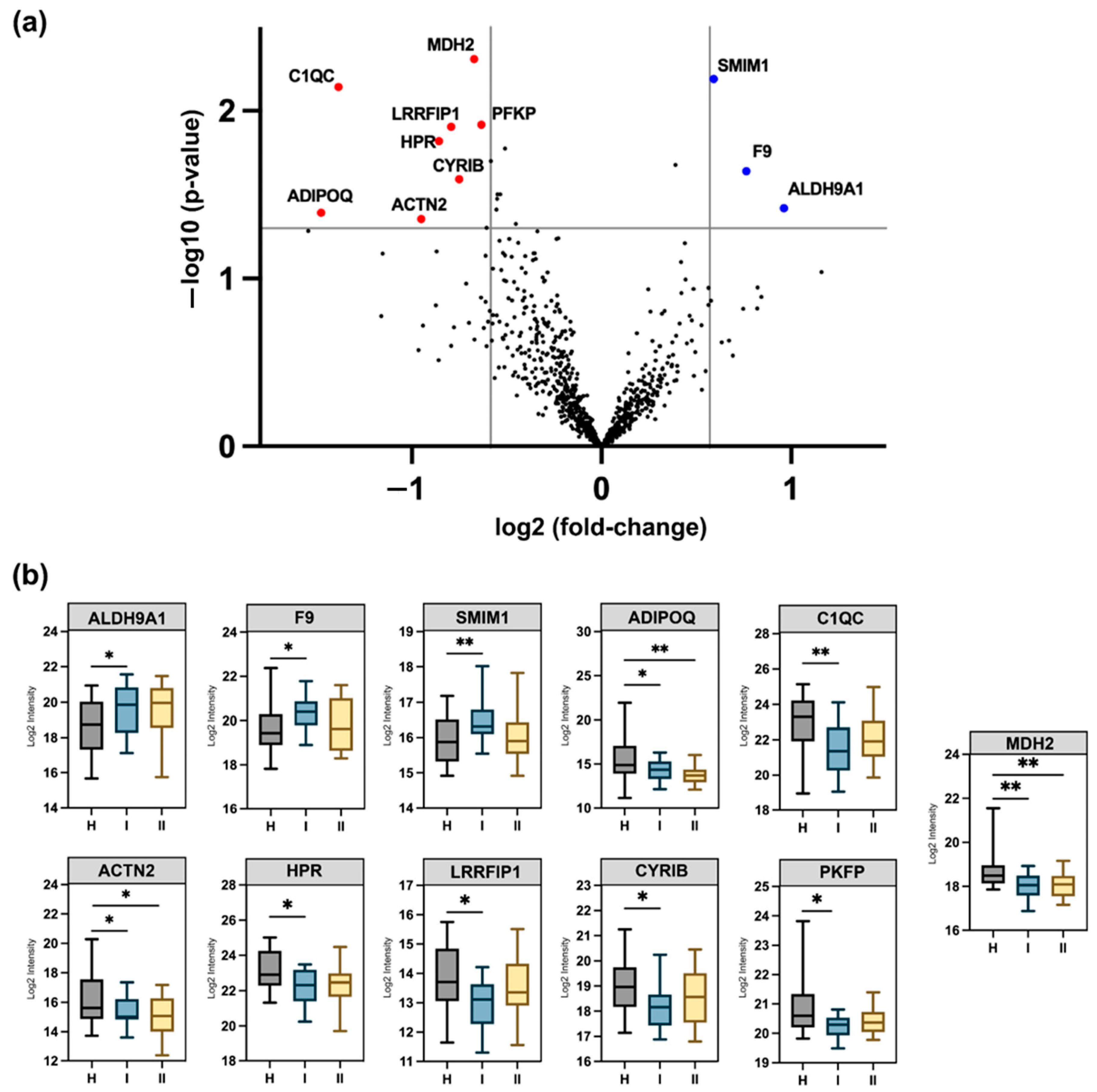 Cancers 16 04259 g003