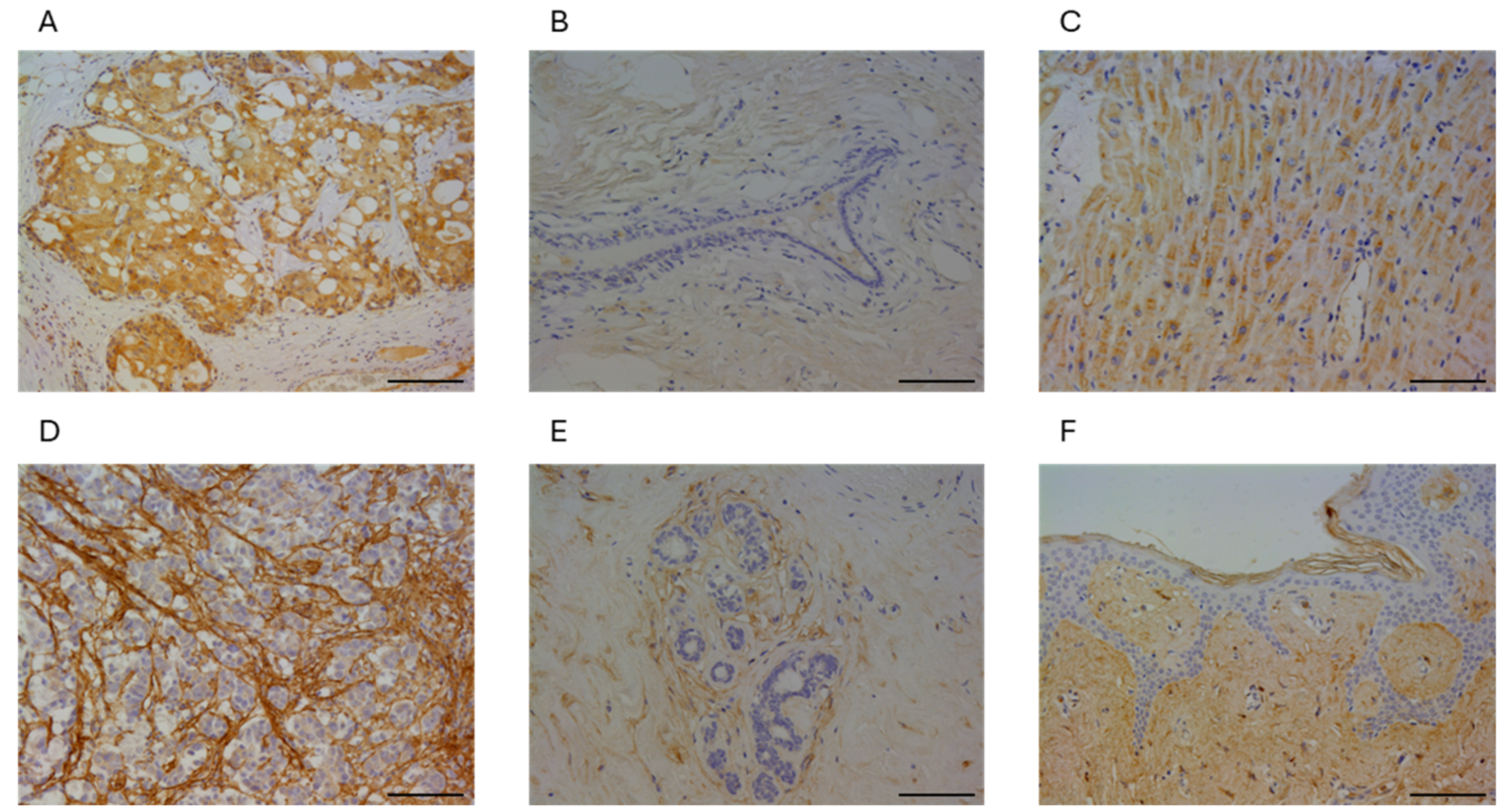 Cancers 16 04285 g001