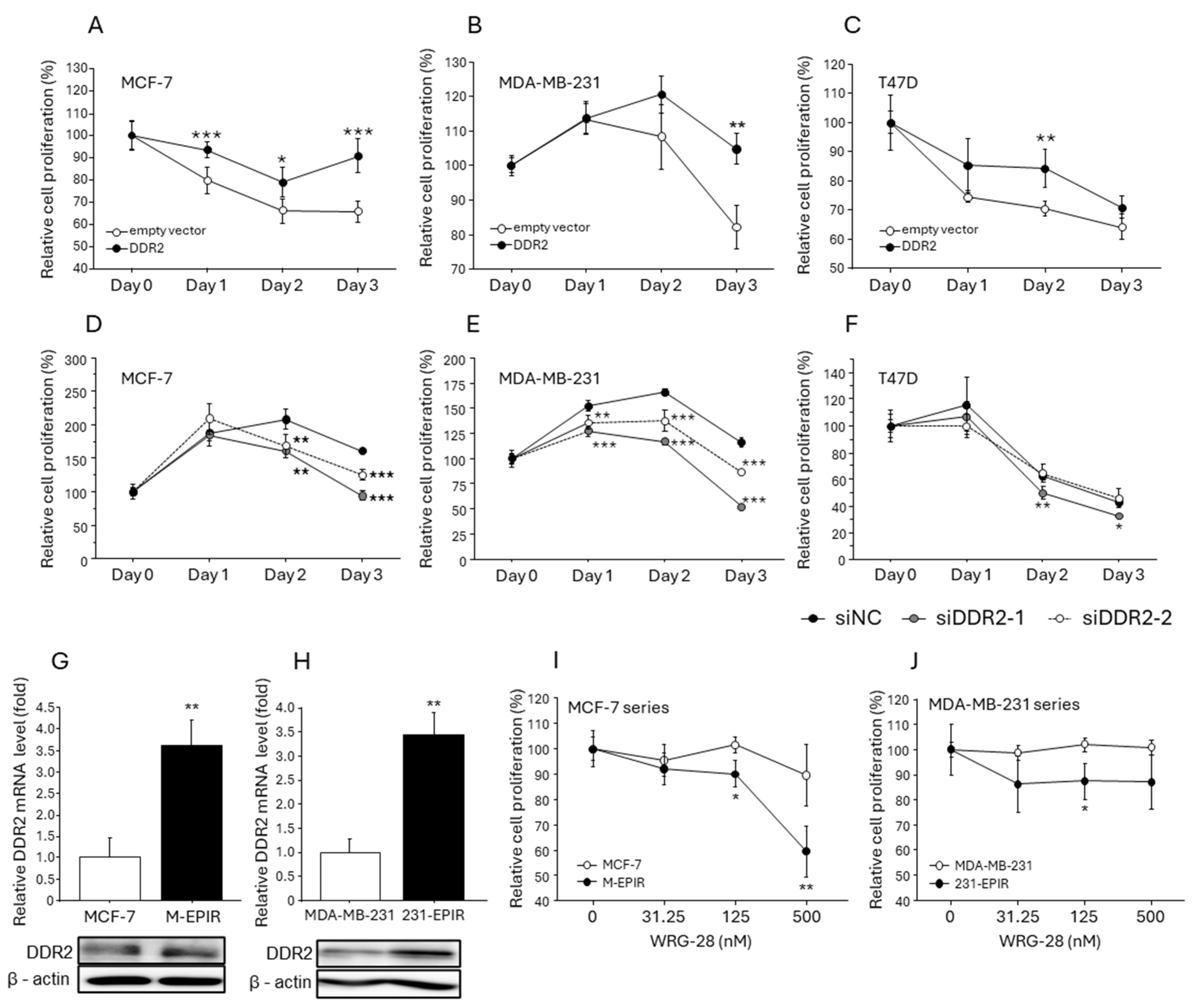 Cancers 16 04285 g004