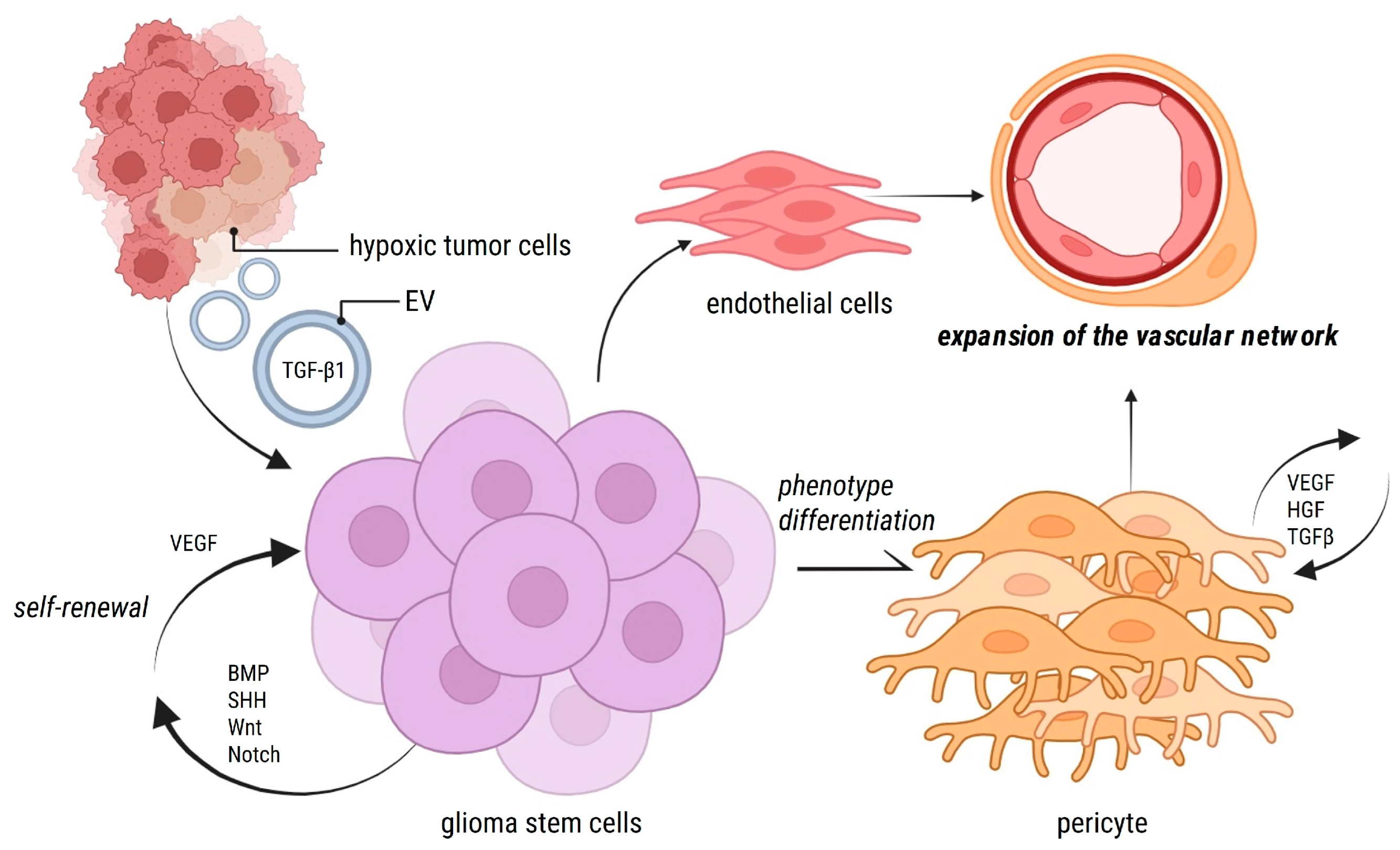 Cancers 17 00015 g002