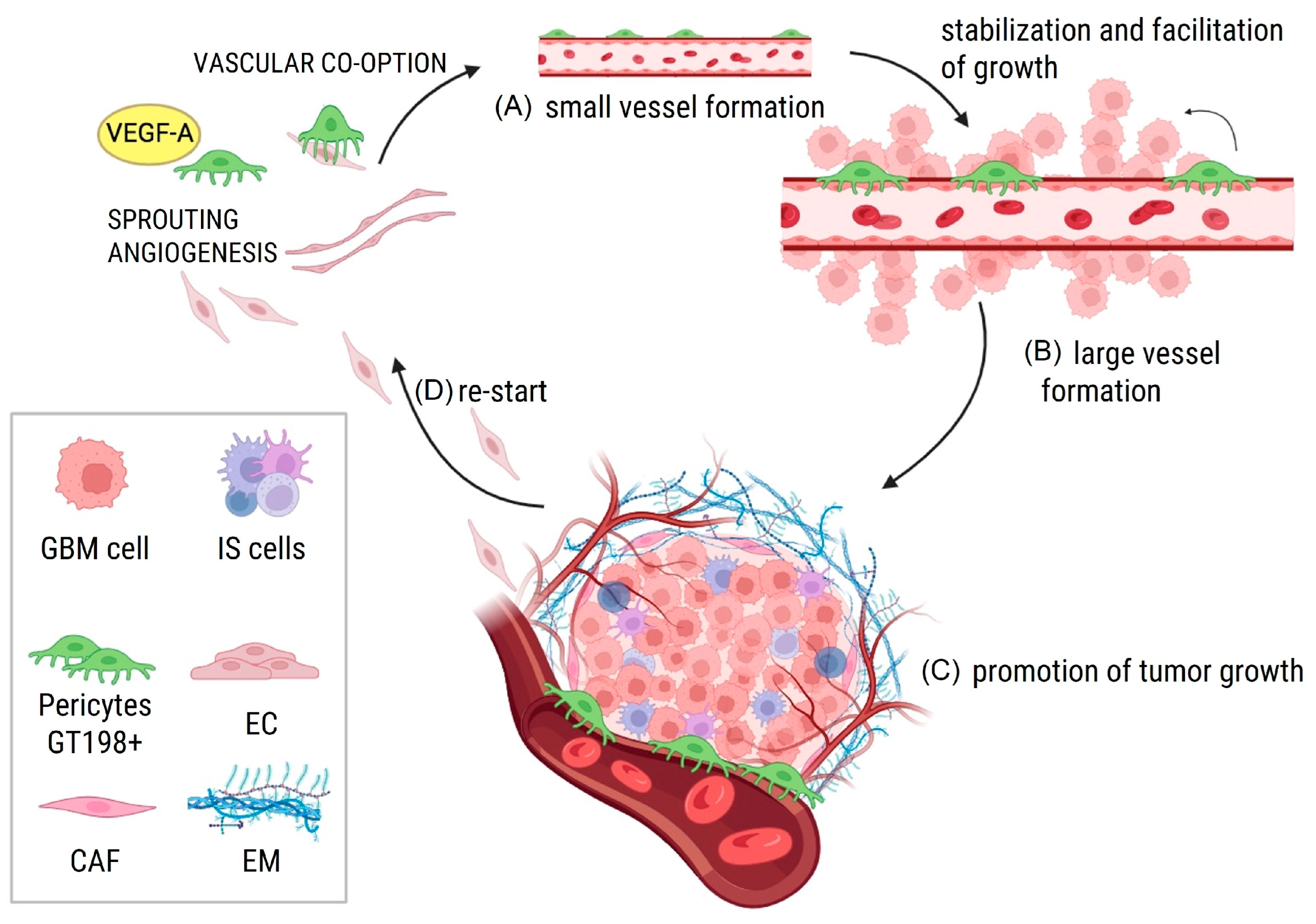 Cancers 17 00015 g003