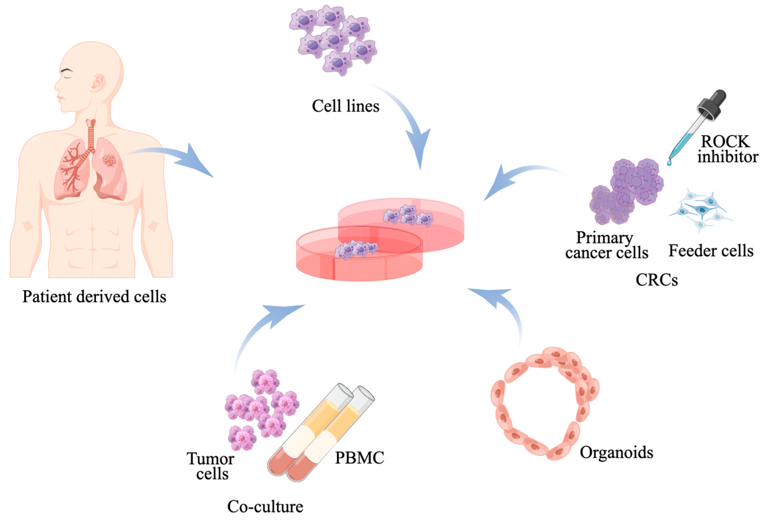 Cancers 17 00022 g001