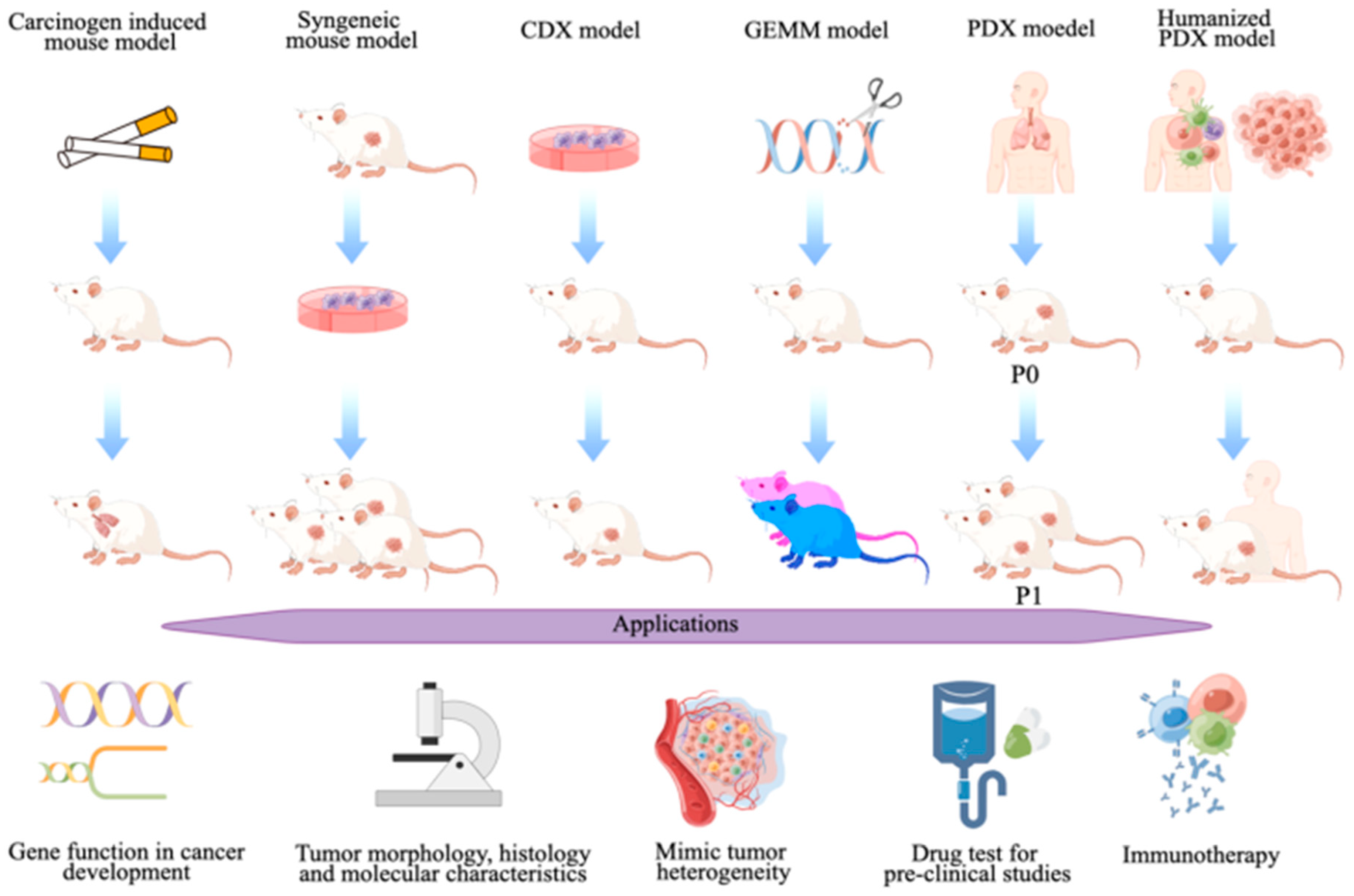 Cancers 17 00022 g002