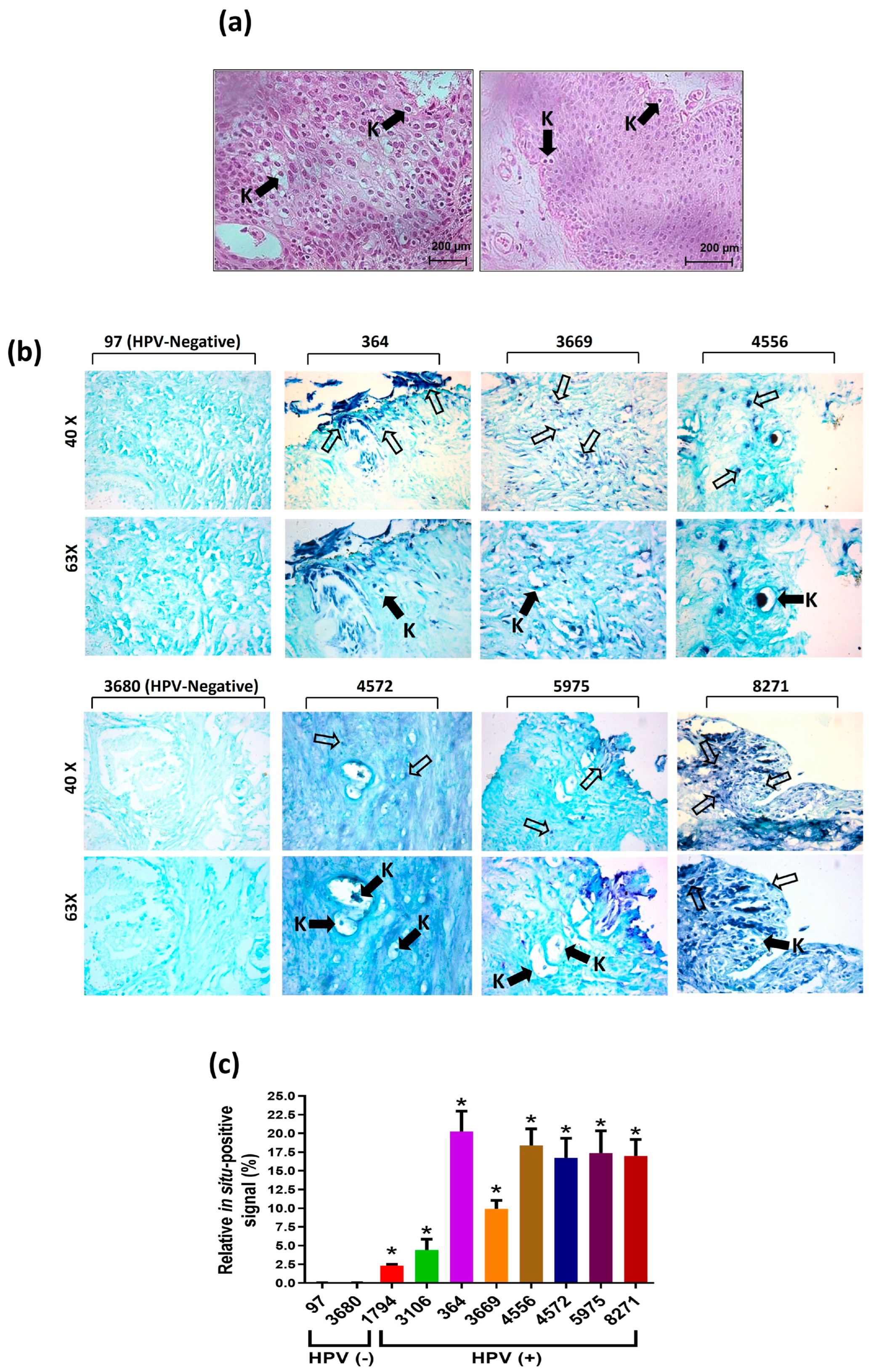 Cancers 17 00026 g002