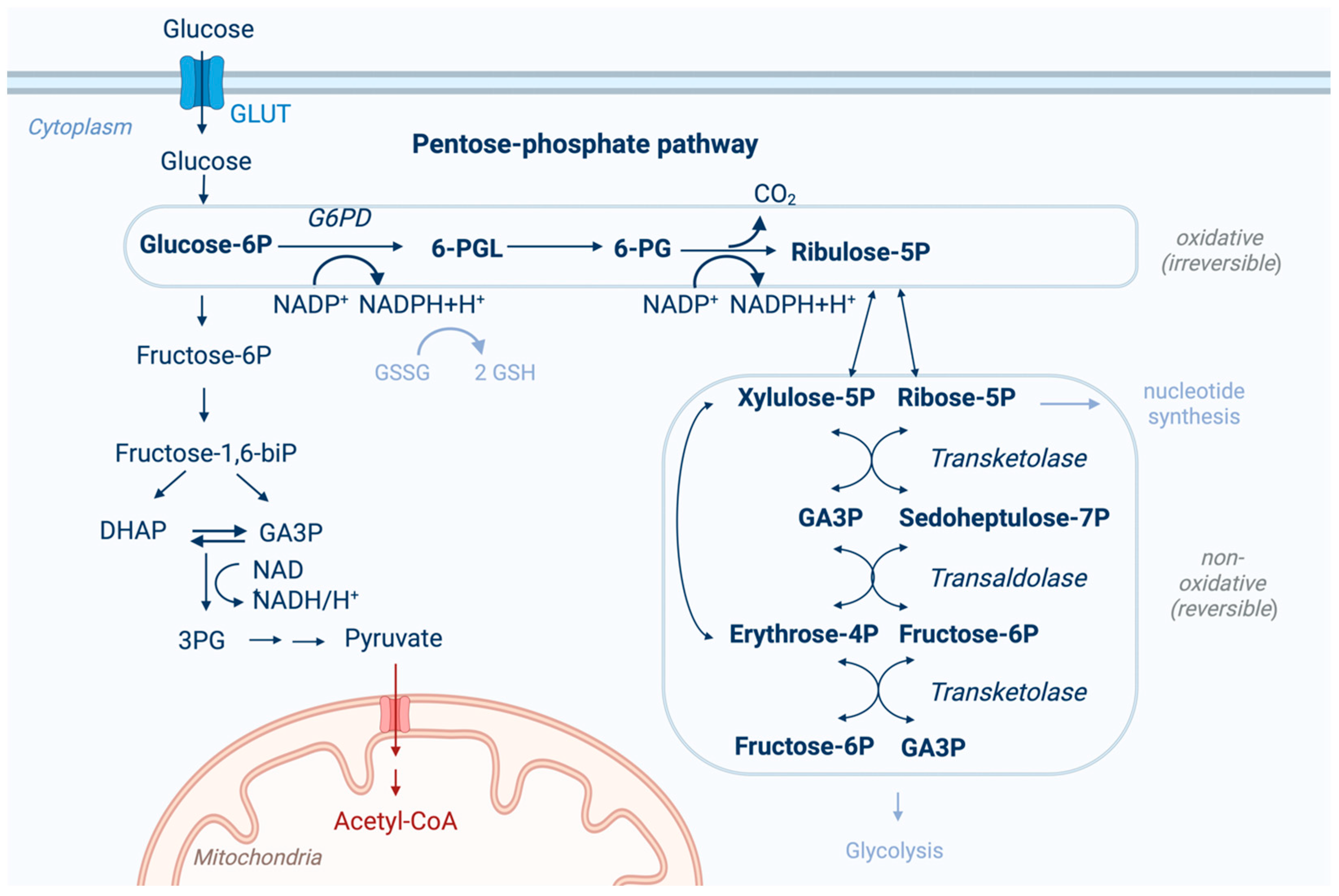 Cancers 17 00048 g001