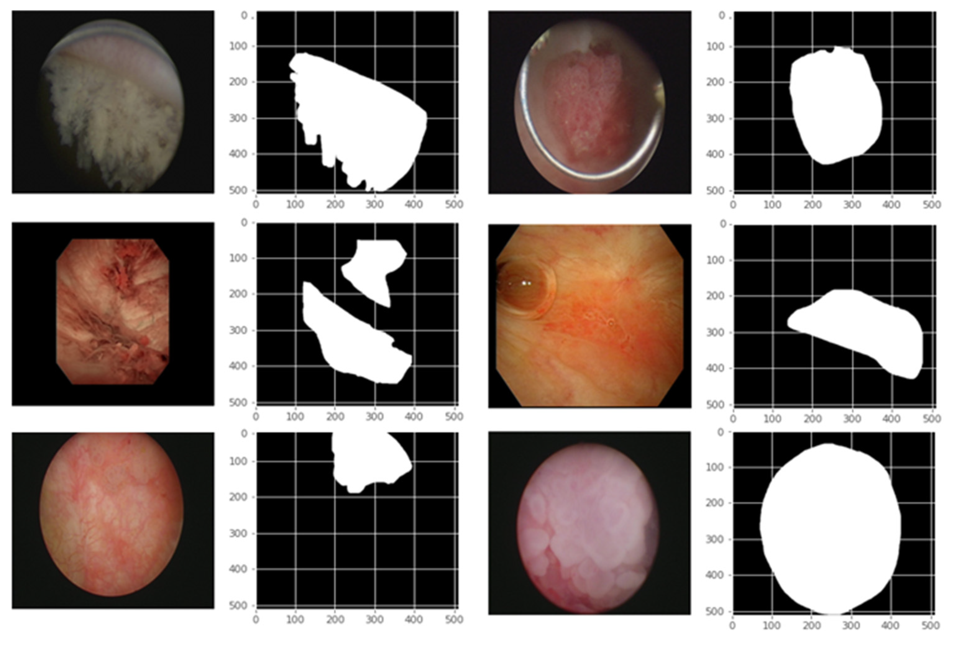 Cancers 17 00057 g001