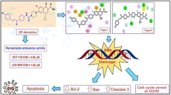 Cancers 17 00059 g002