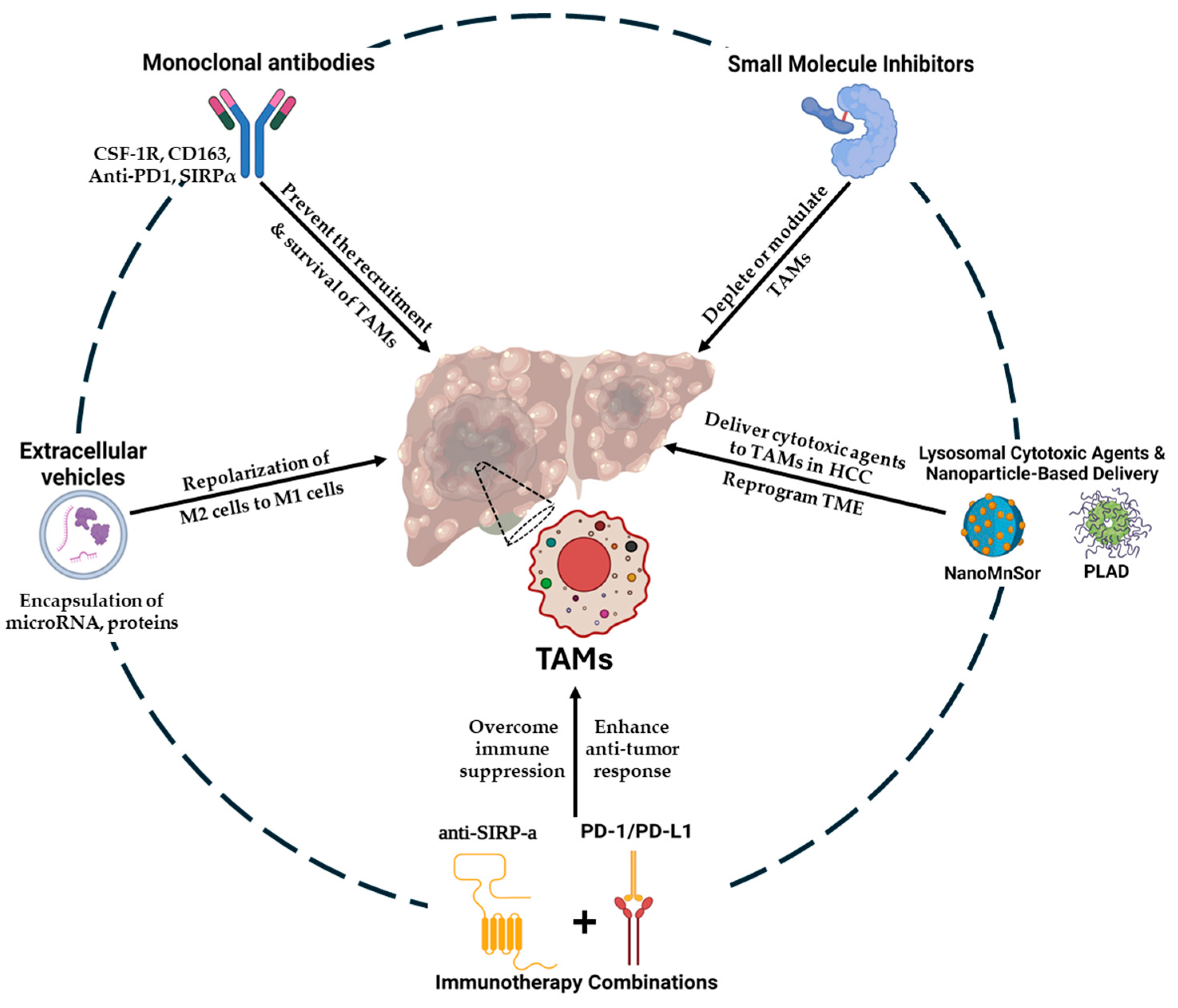 Cancers 17 00066 g002