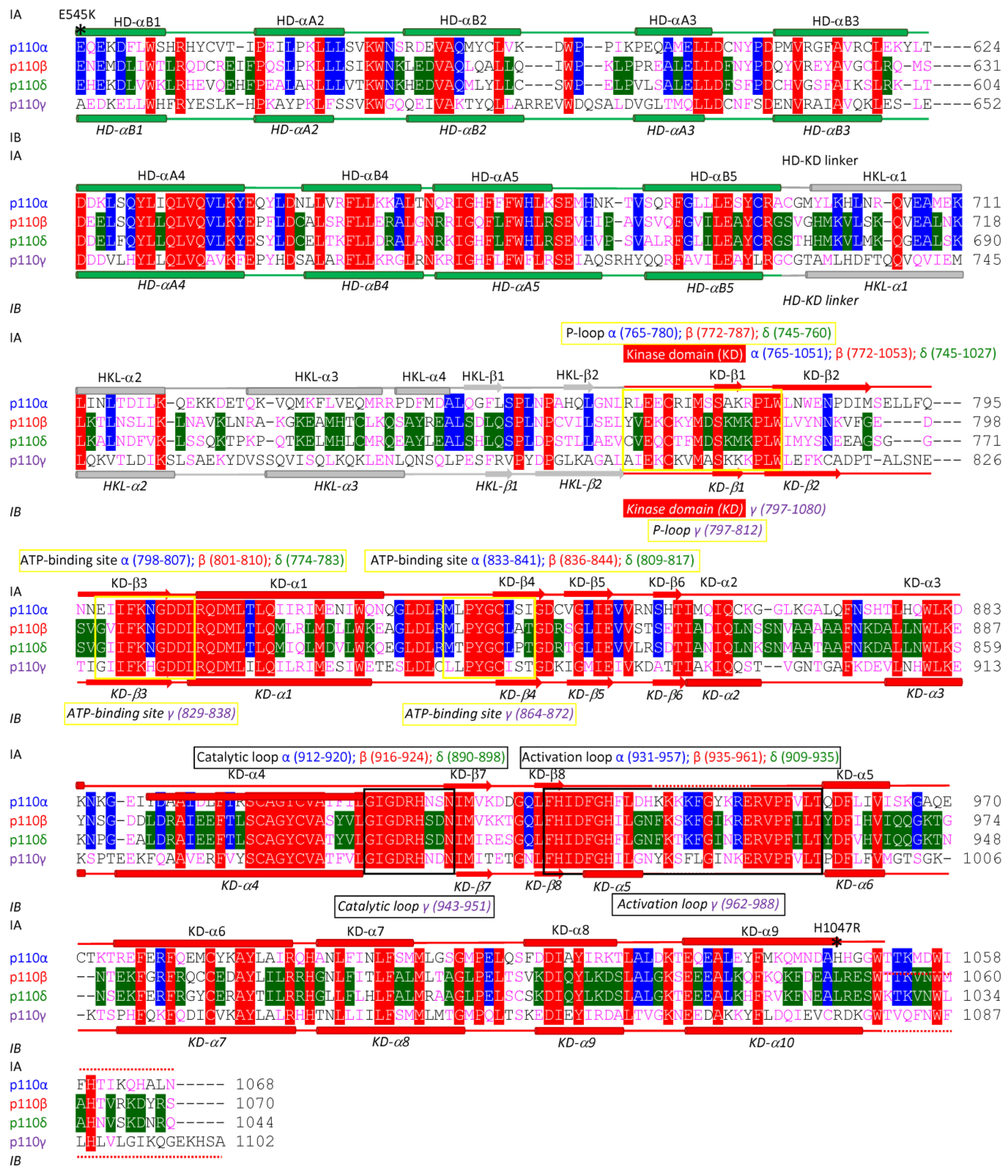 Cancers 17 00077 g002b Cancers 17 00077 g002b