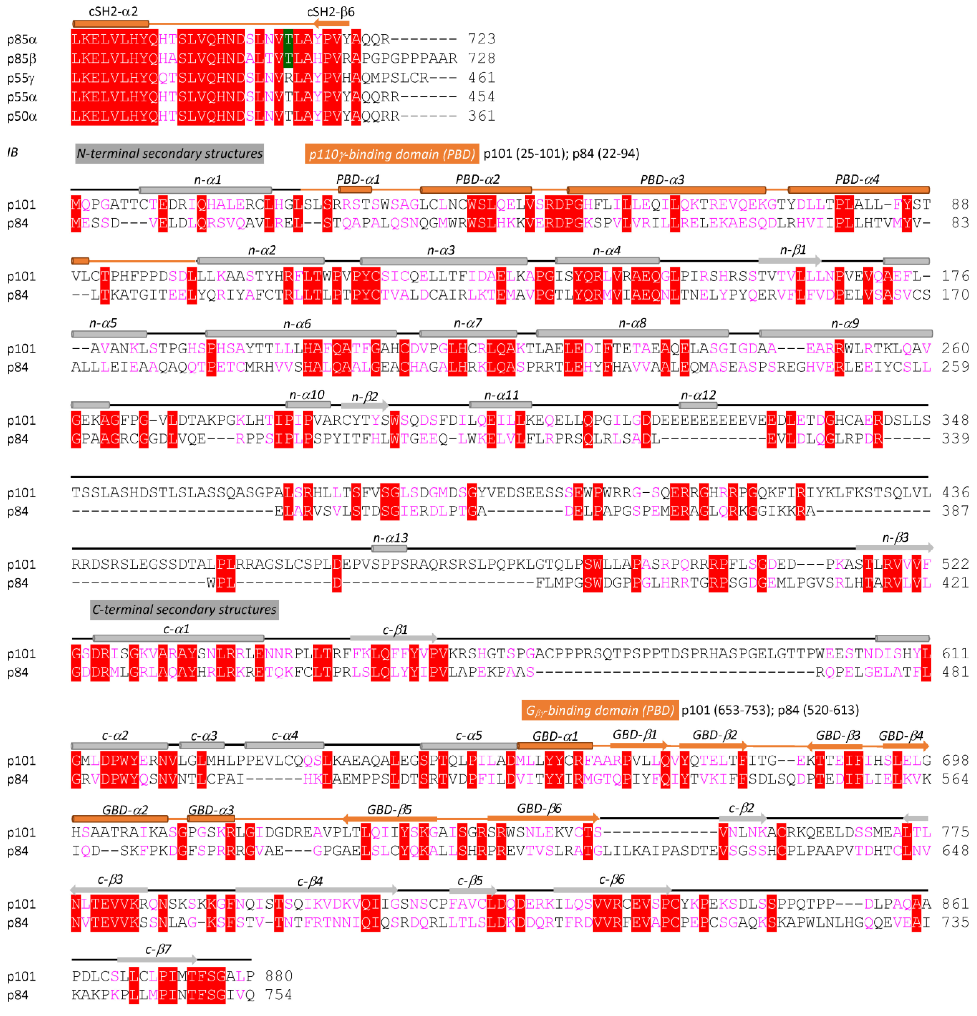 Cancers 17 00077 g003b Cancers 17 00077 g003b