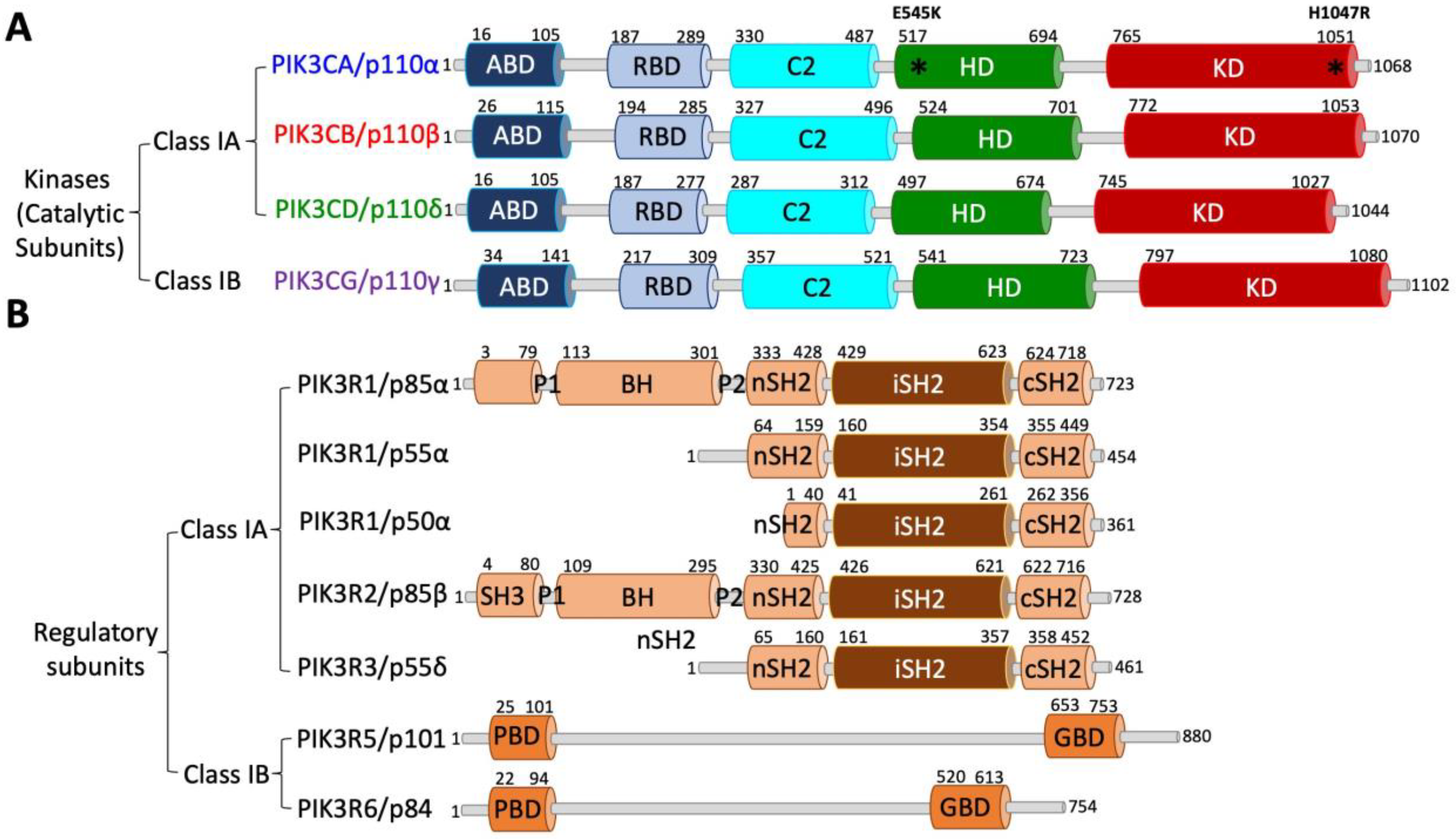Cancers 17 00077 g004 Cancers 17 00077 g004