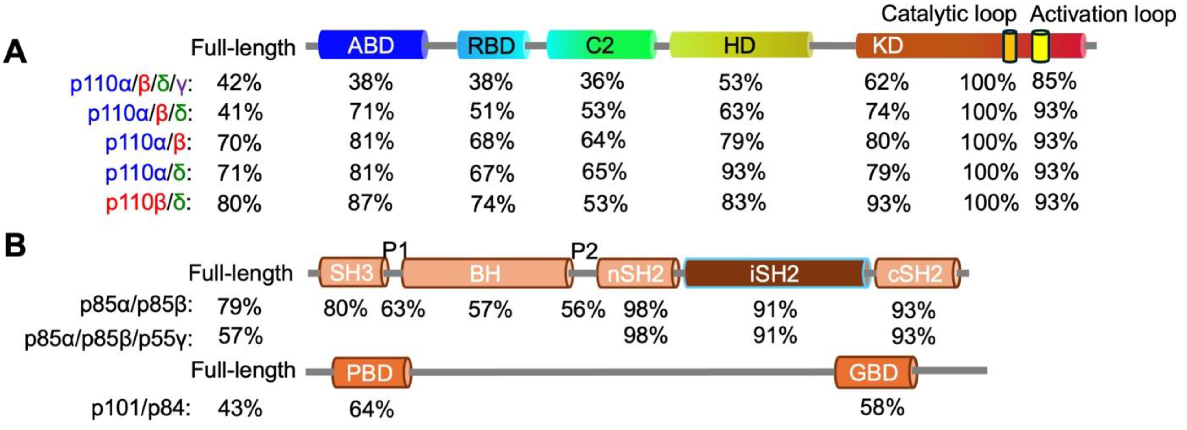 Cancers 17 00077 g005 Cancers 17 00077 g005