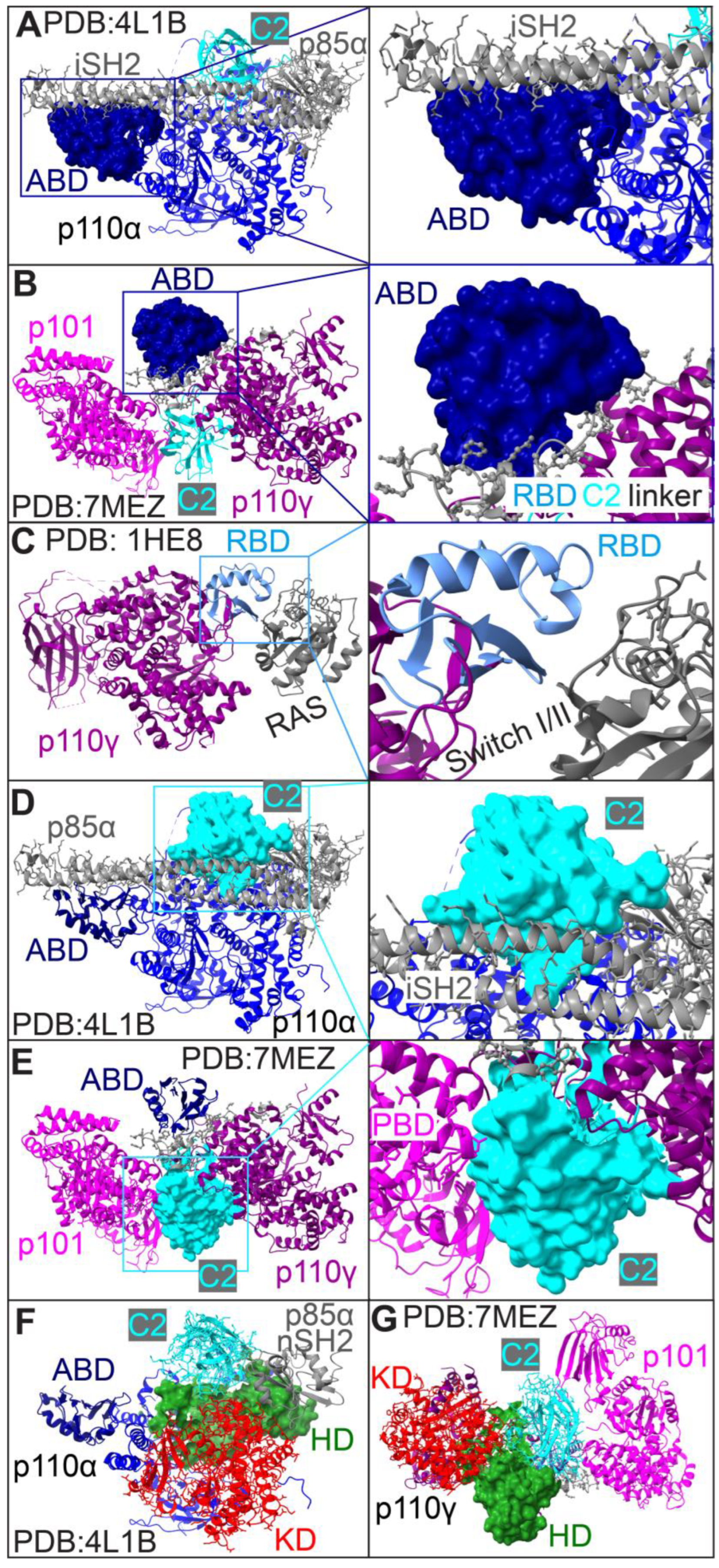 Cancers 17 00077 g008 Cancers 17 00077 g008