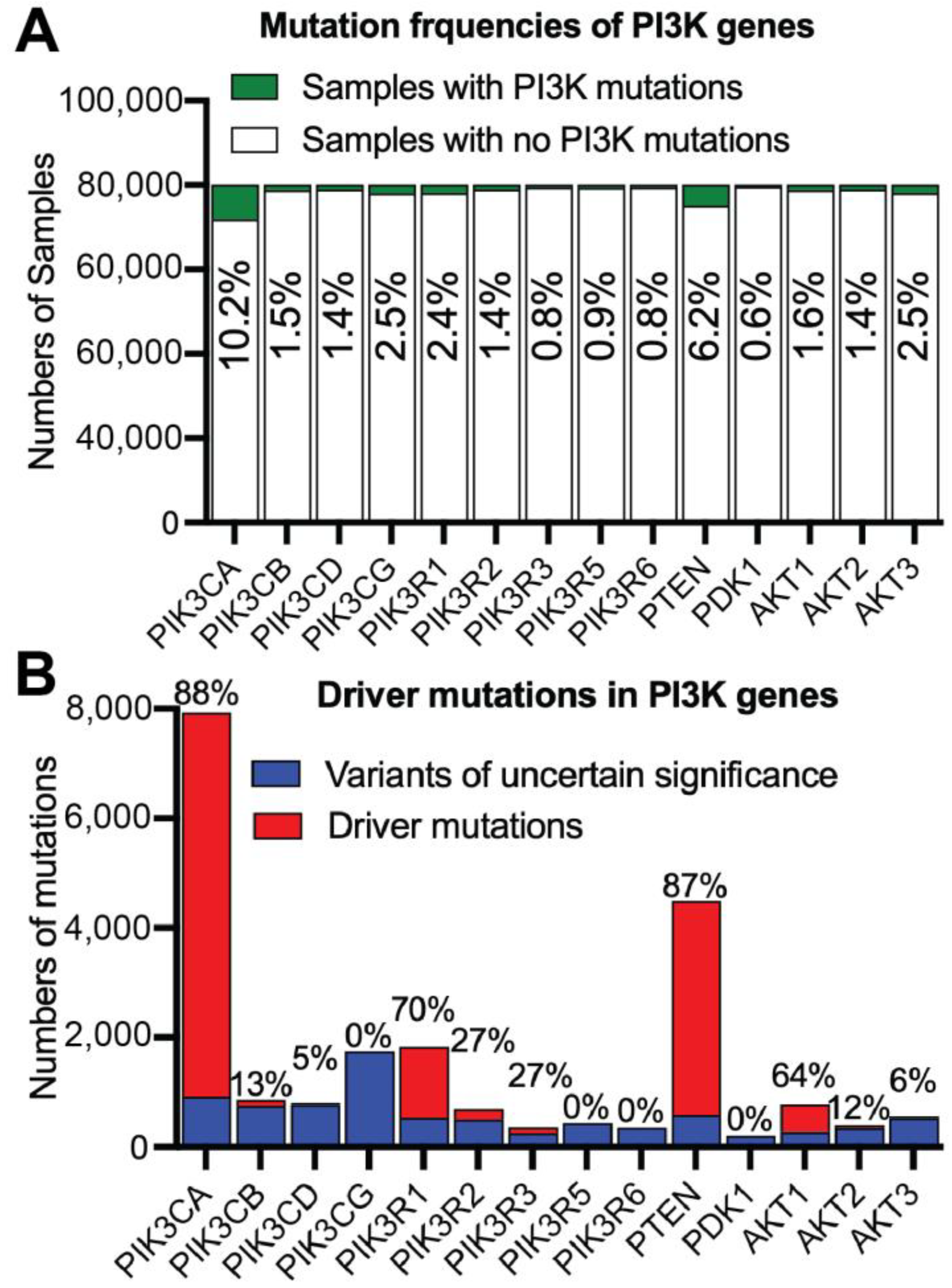 Cancers 17 00077 g009 Cancers 17 00077 g009