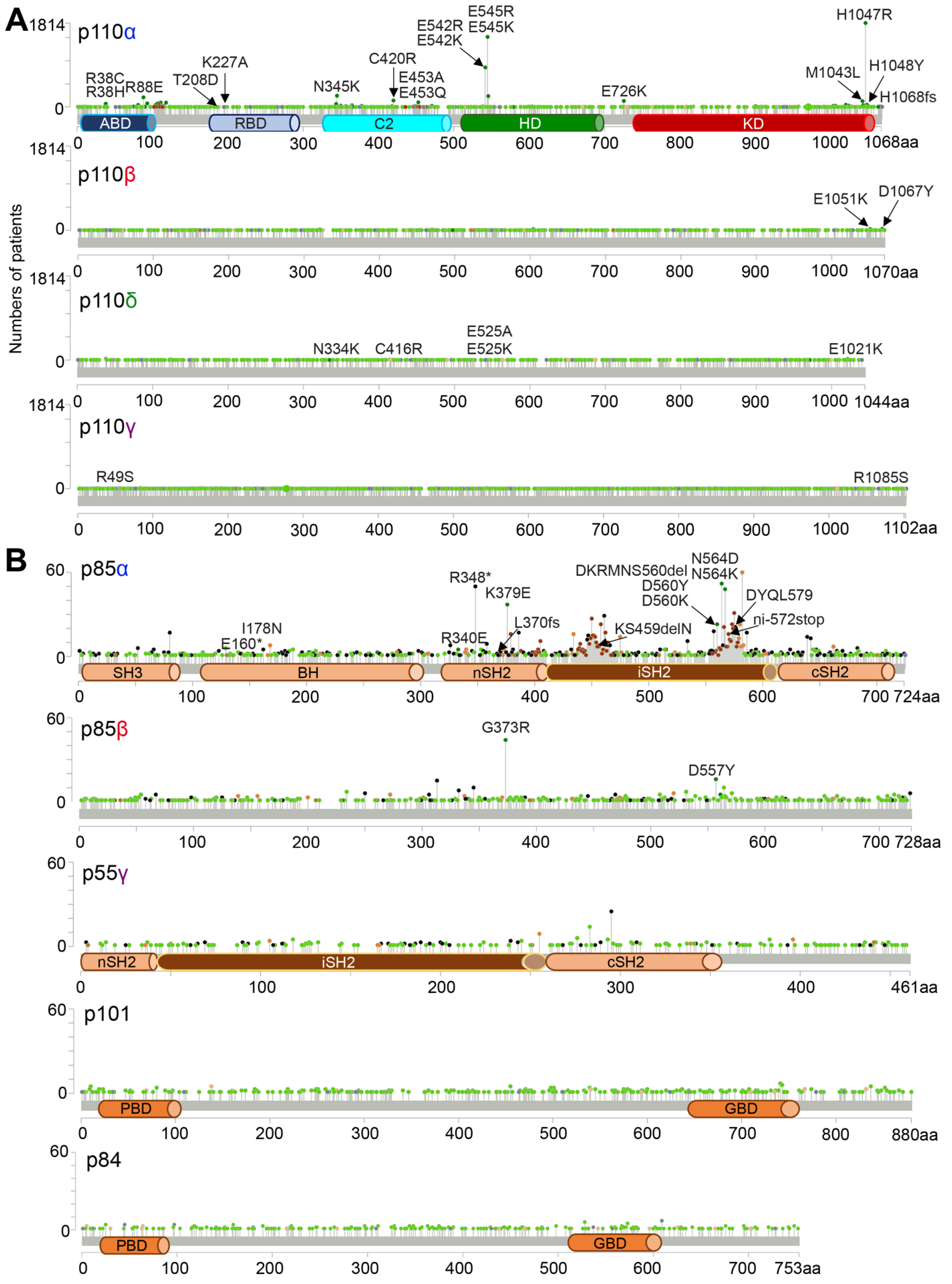 Cancers 17 00077 g010 Cancers 17 00077 g010