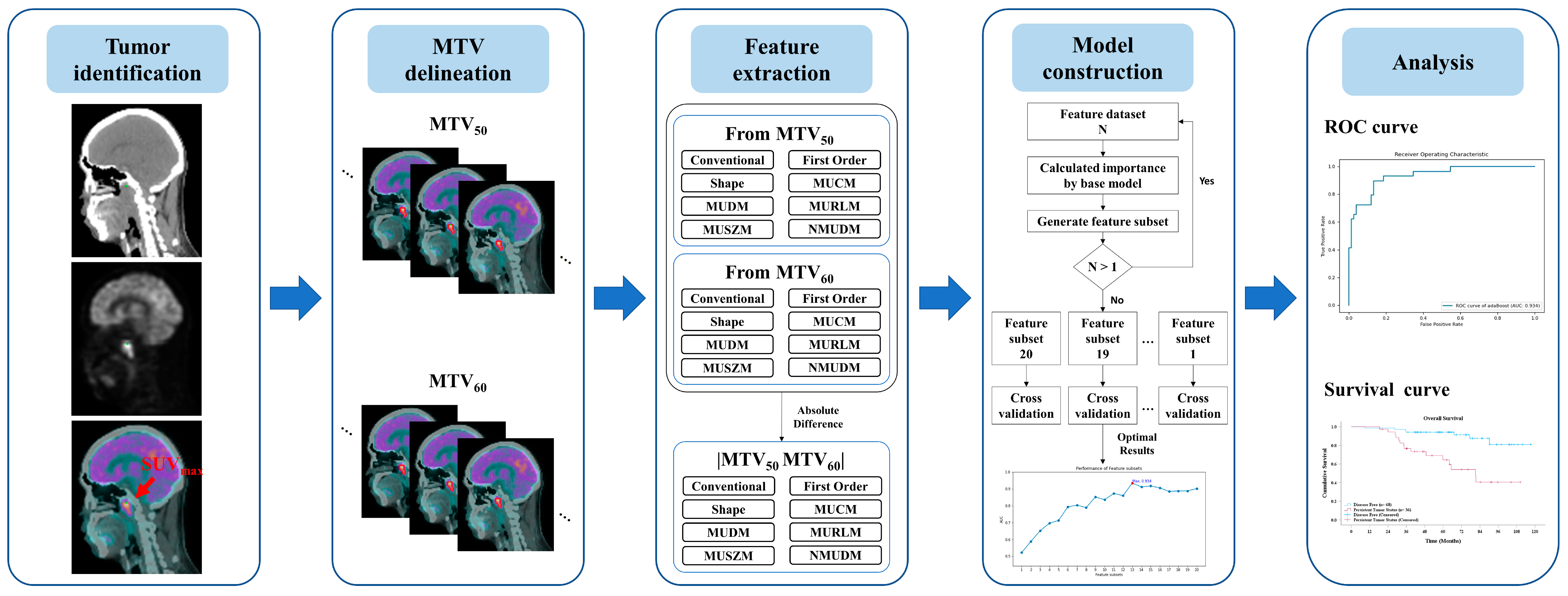 Cancers 17 00096 g001