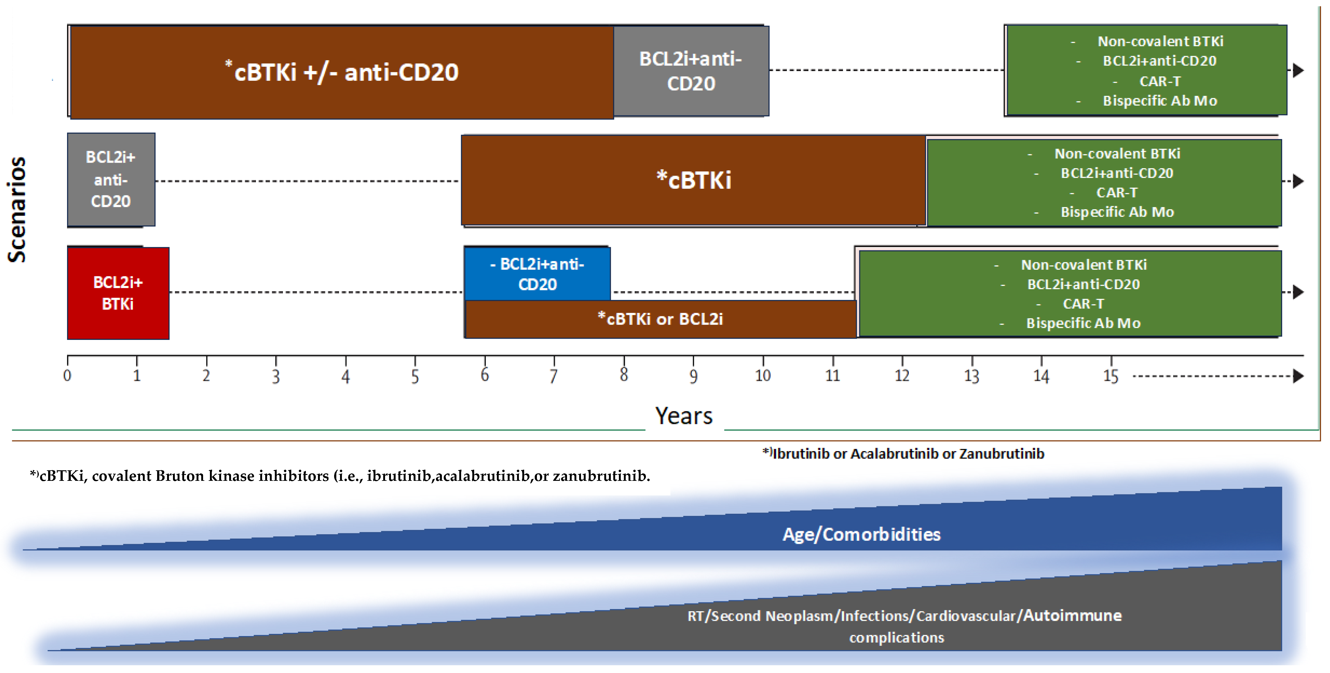 Cancers 17 00119 g001