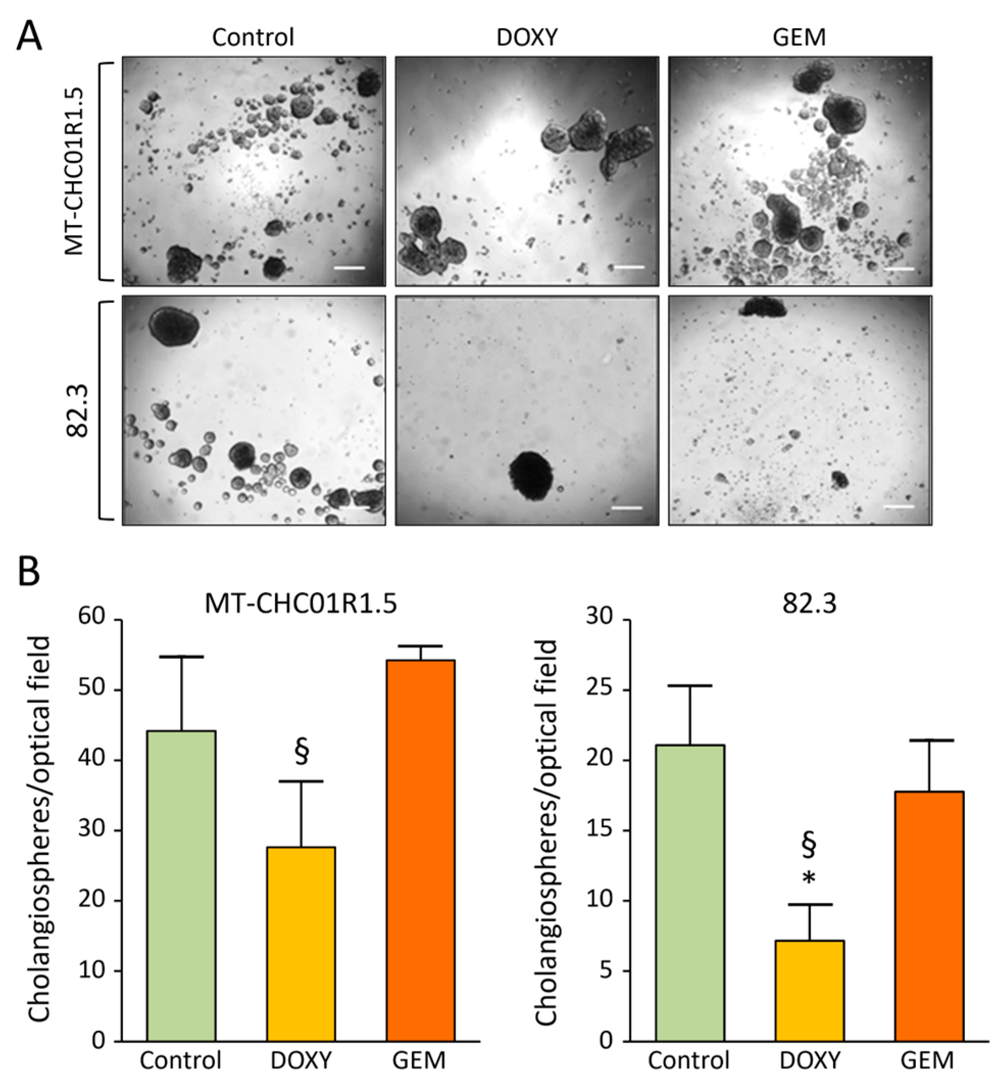 Cancers 17 00132 g003