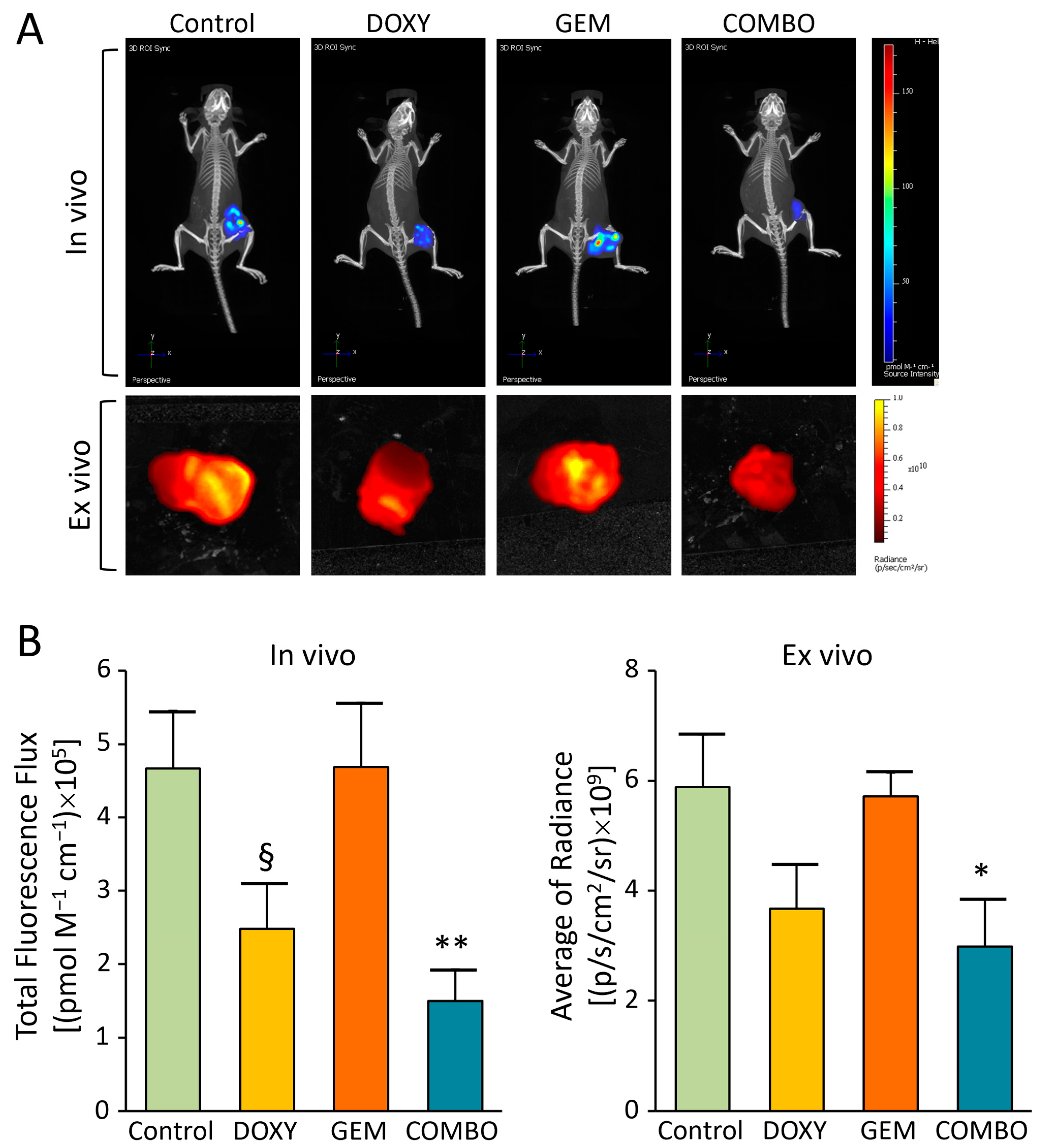 Cancers 17 00132 g005