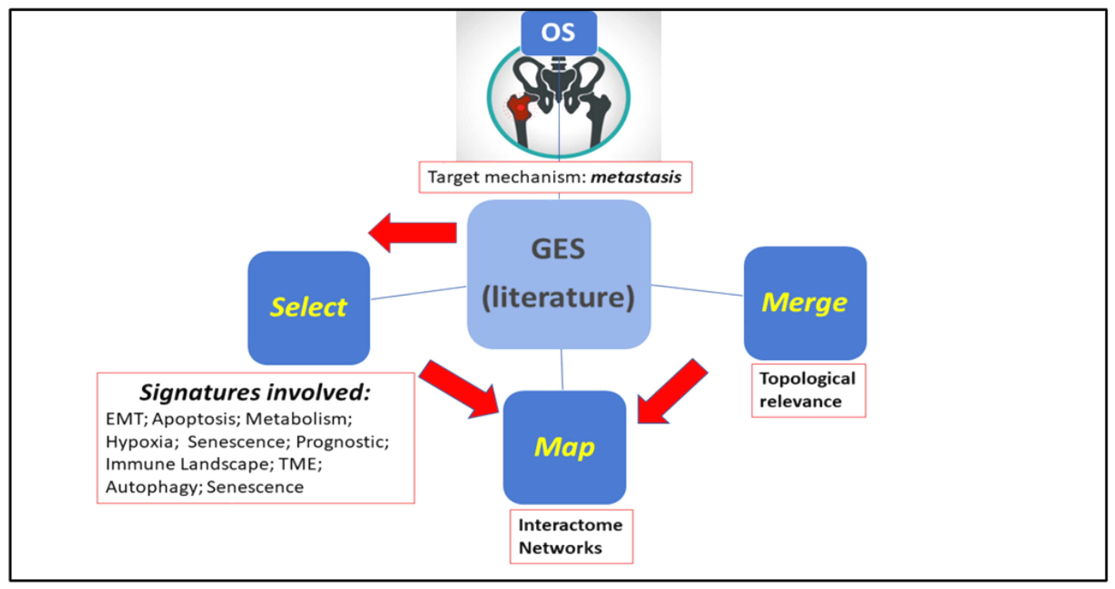 Cancers 17 00136 g001