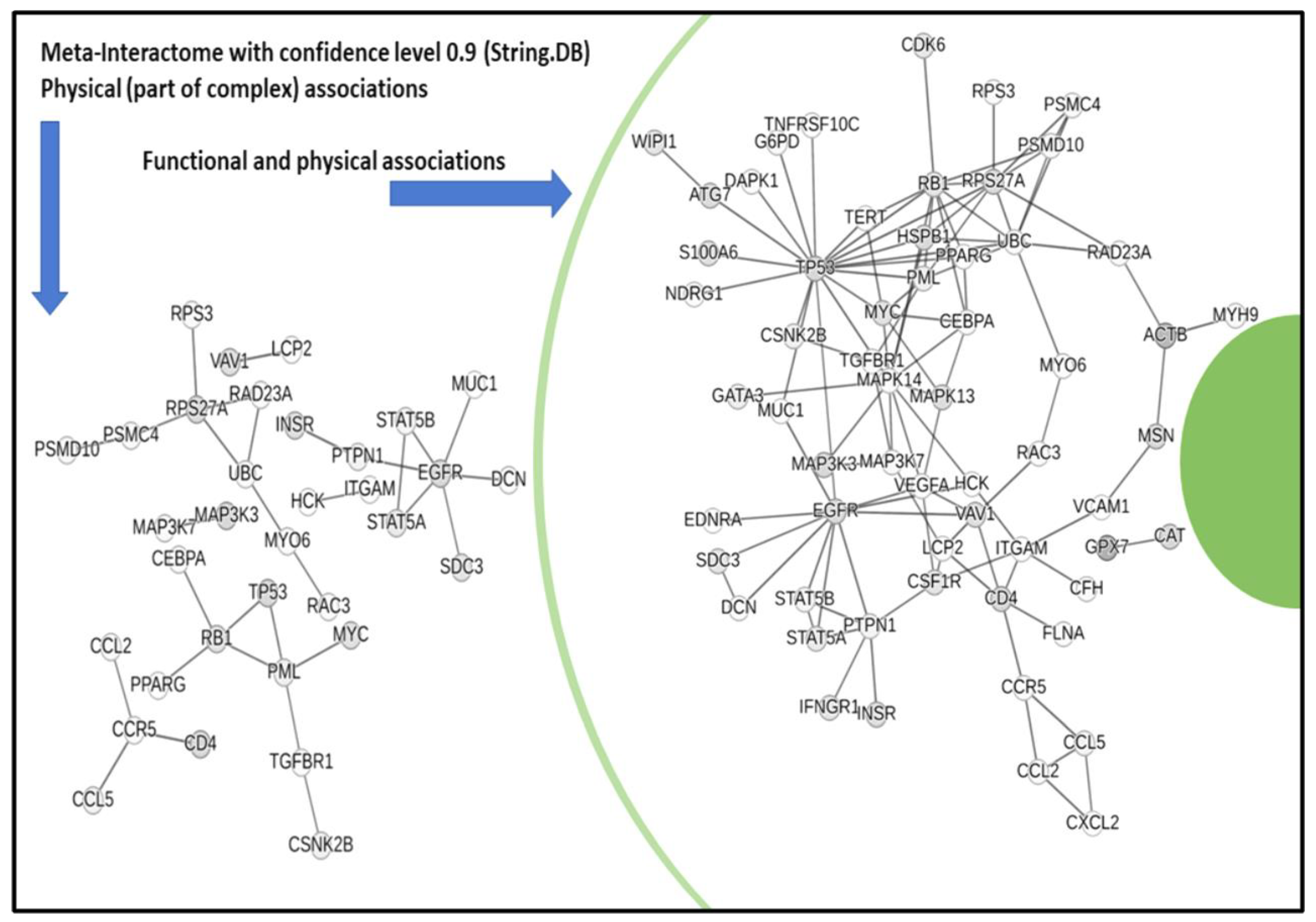 Cancers 17 00136 g003