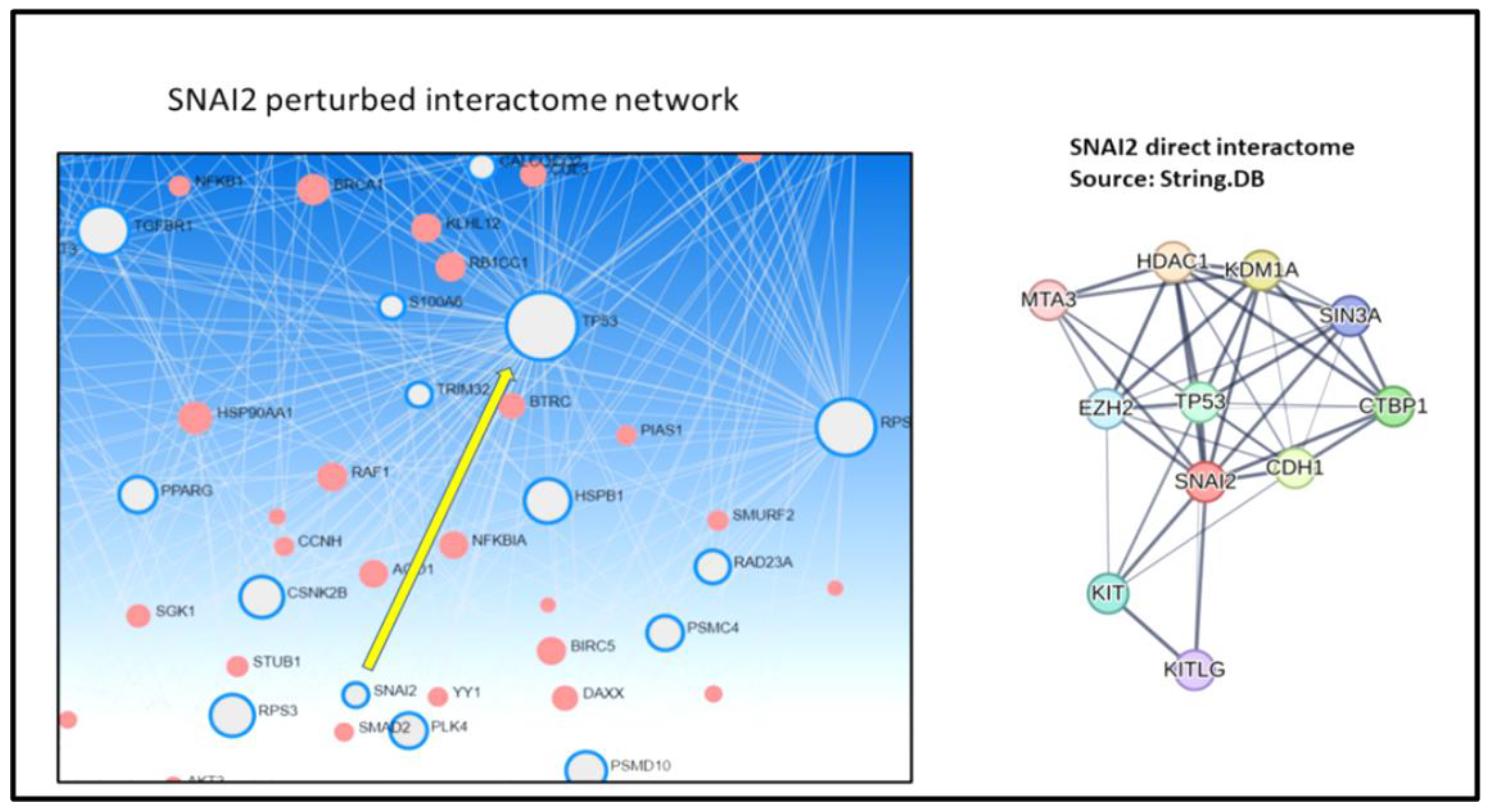 Cancers 17 00136 g005