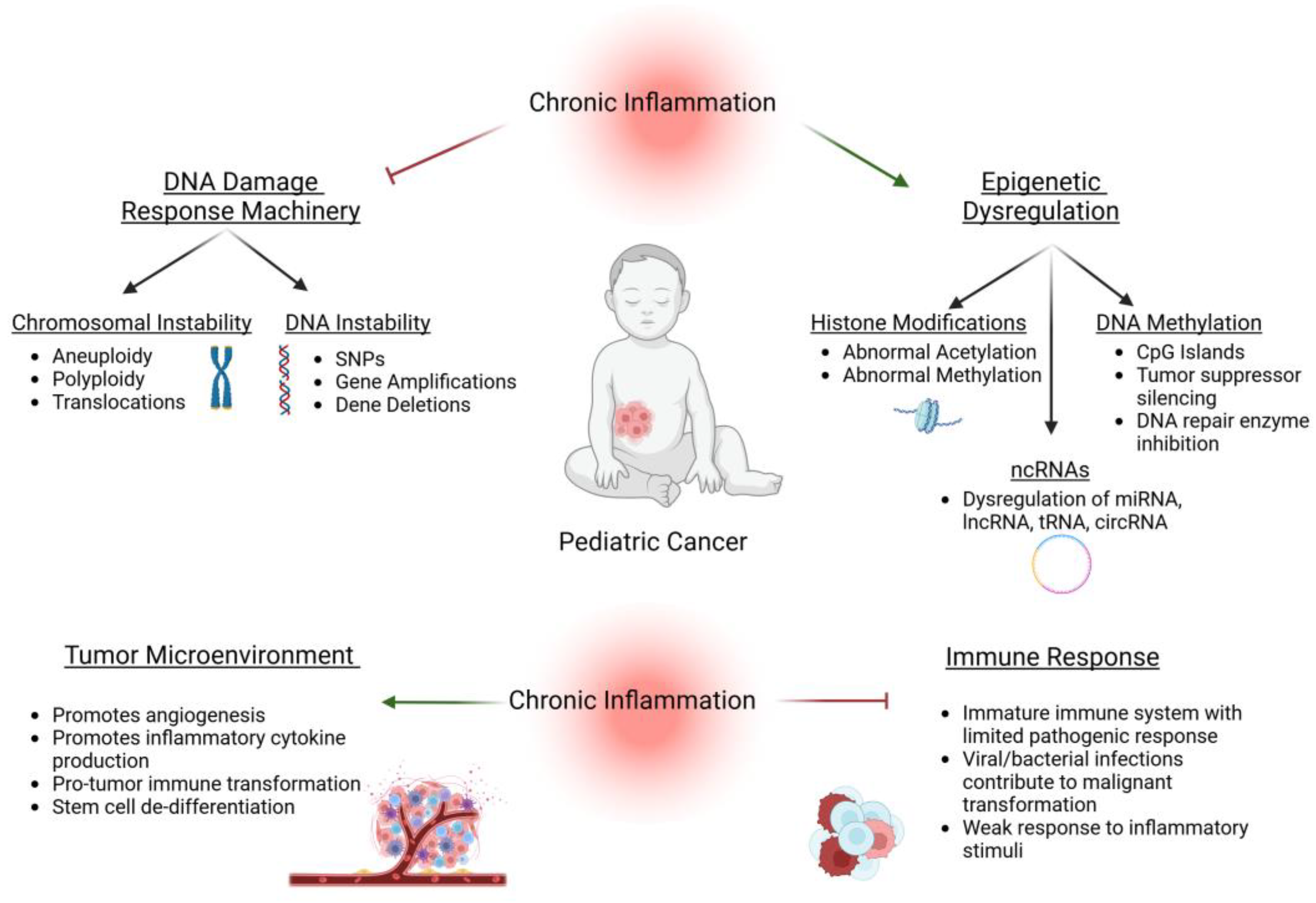 Cancers 17 00154 g001