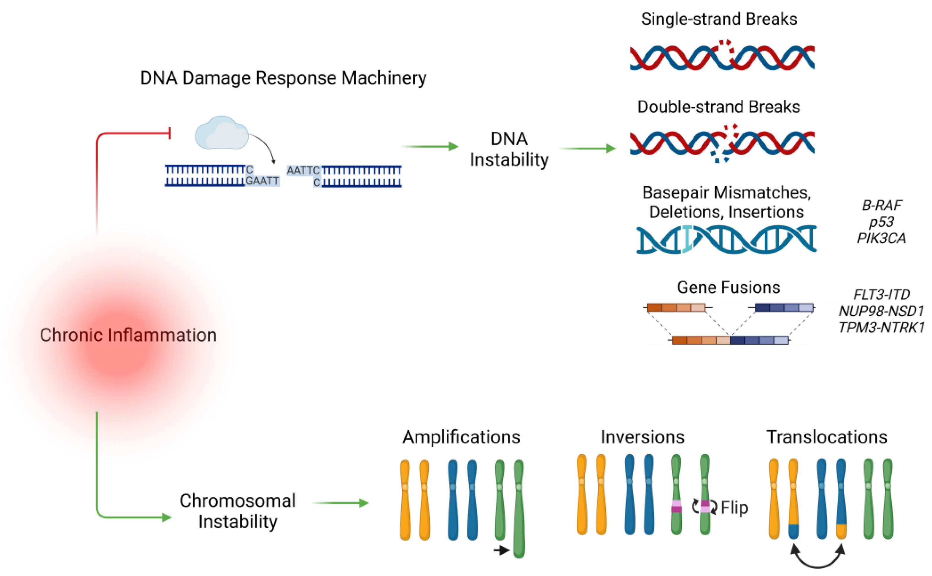 Cancers 17 00154 g002