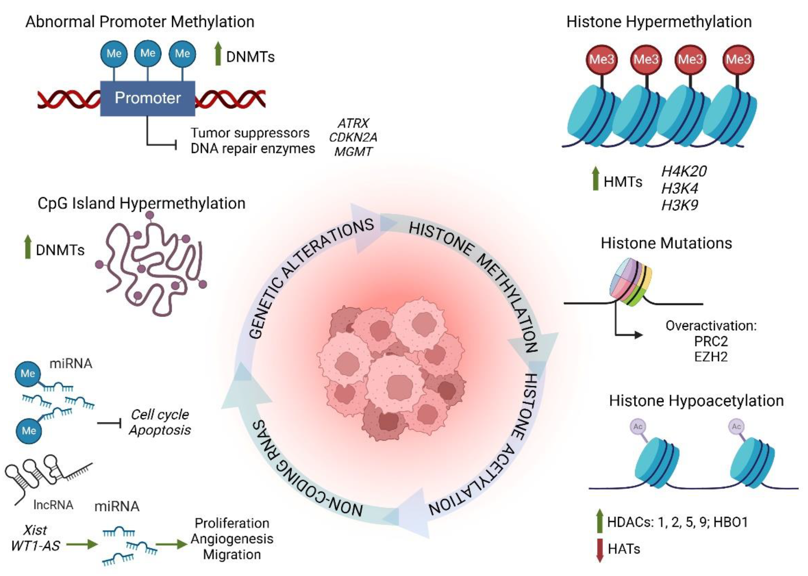 Cancers 17 00154 g003