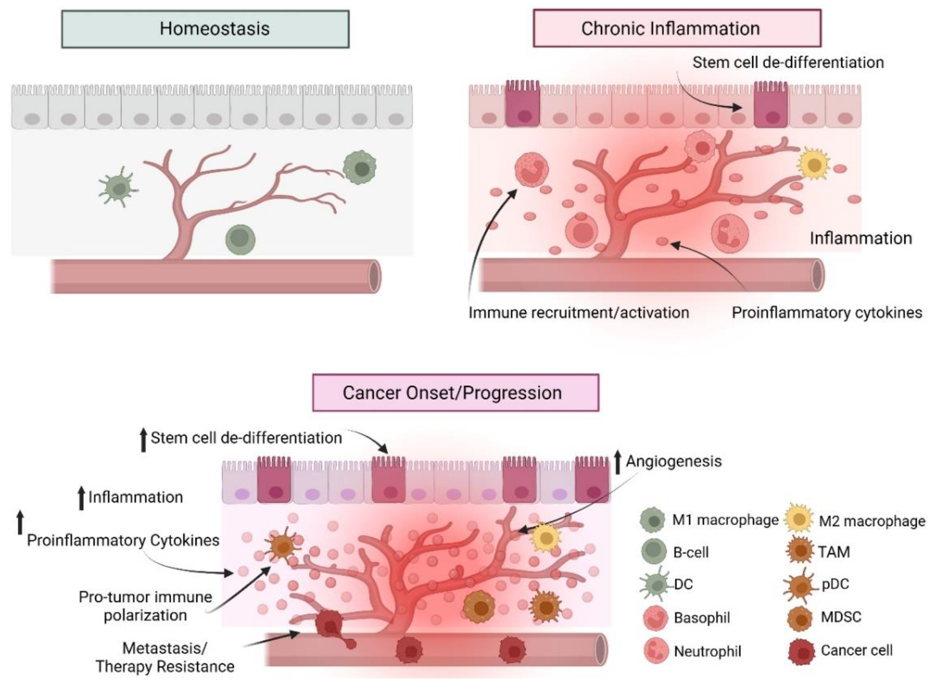 Cancers 17 00154 g004