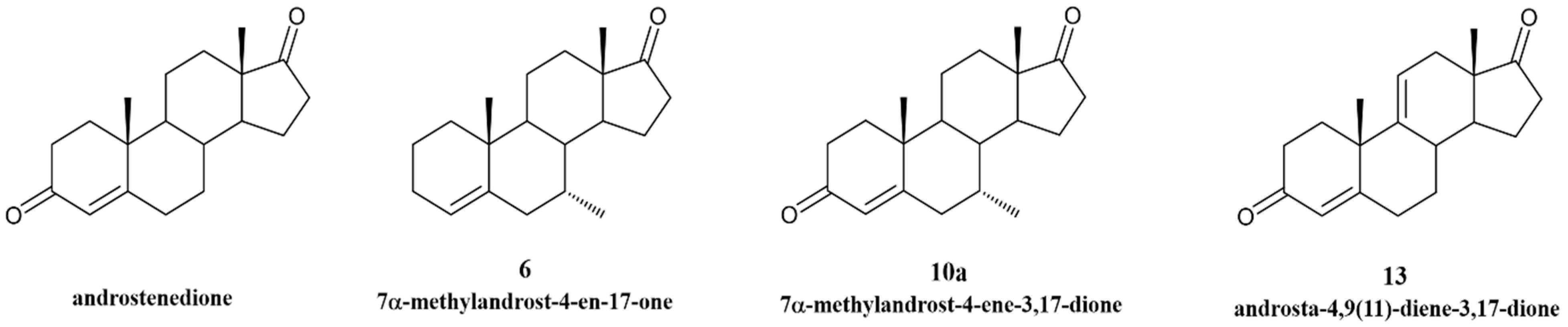 Cancers 17 00165 g001