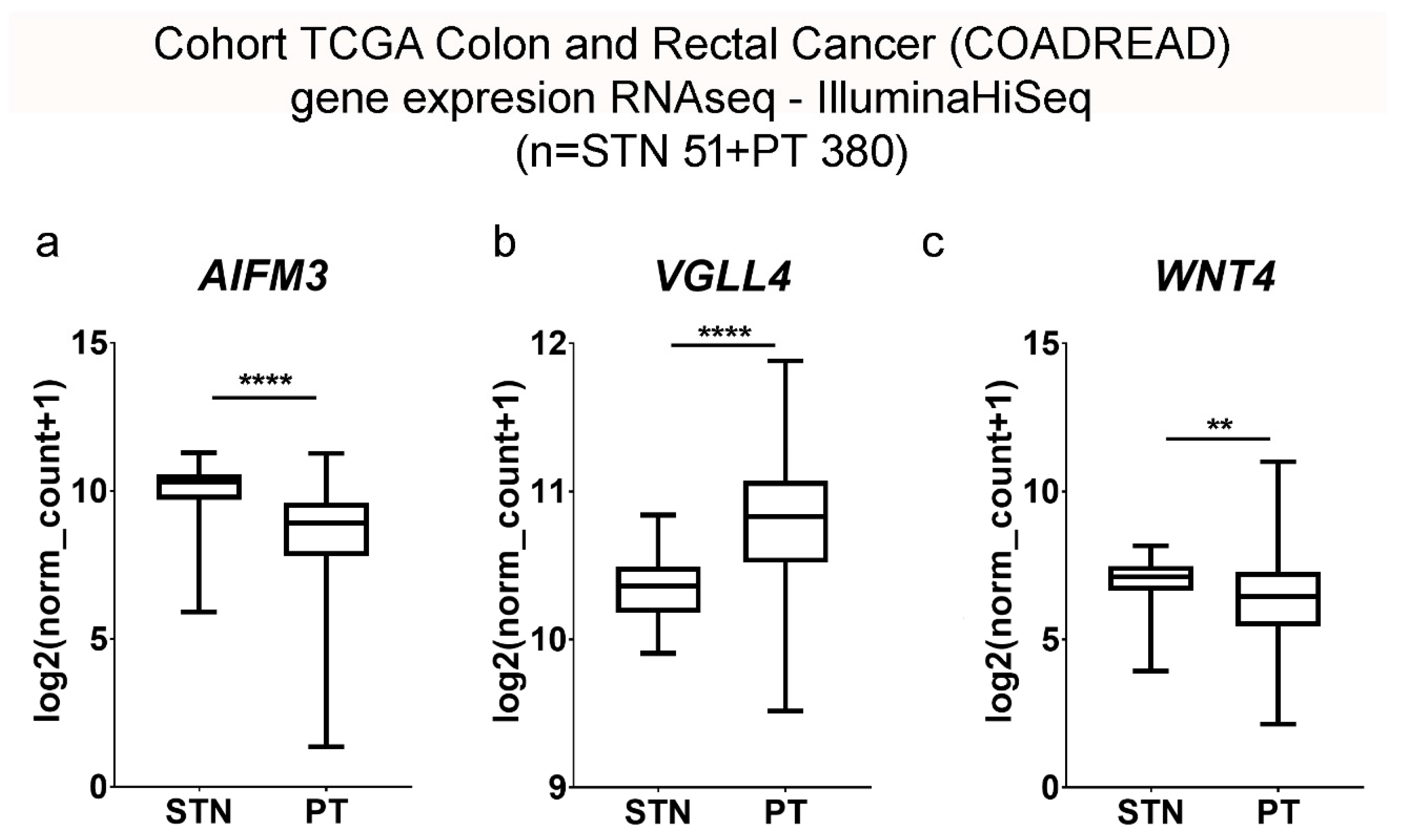 Cancers 17 00166 g005