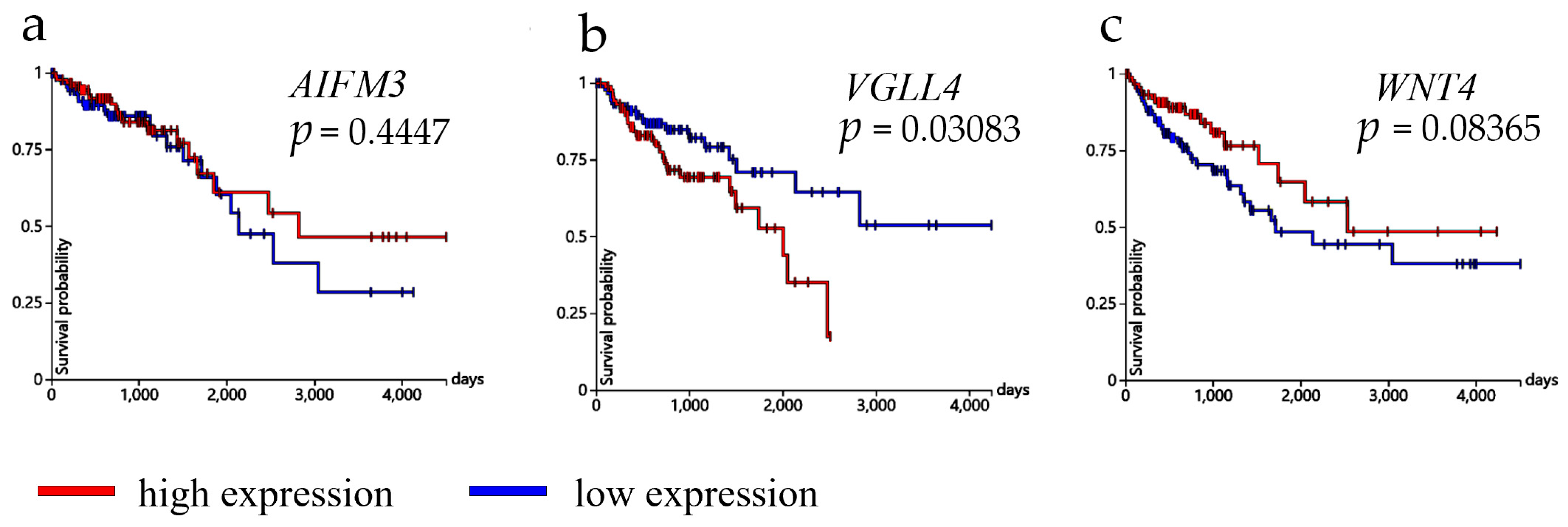 Cancers 17 00166 g006