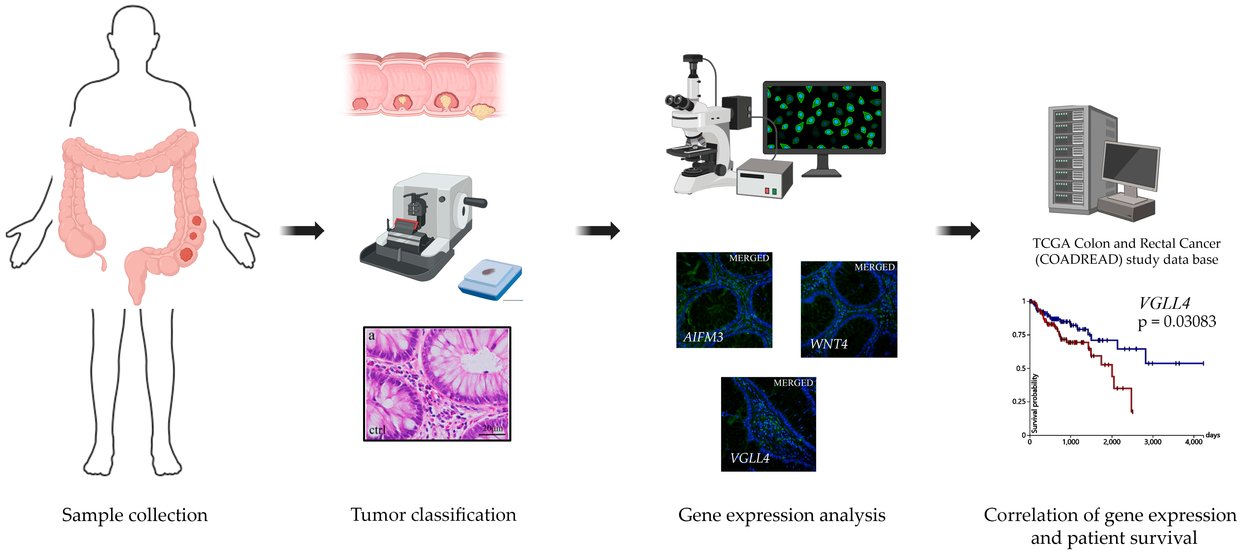 Cancers 17 00166 sch001