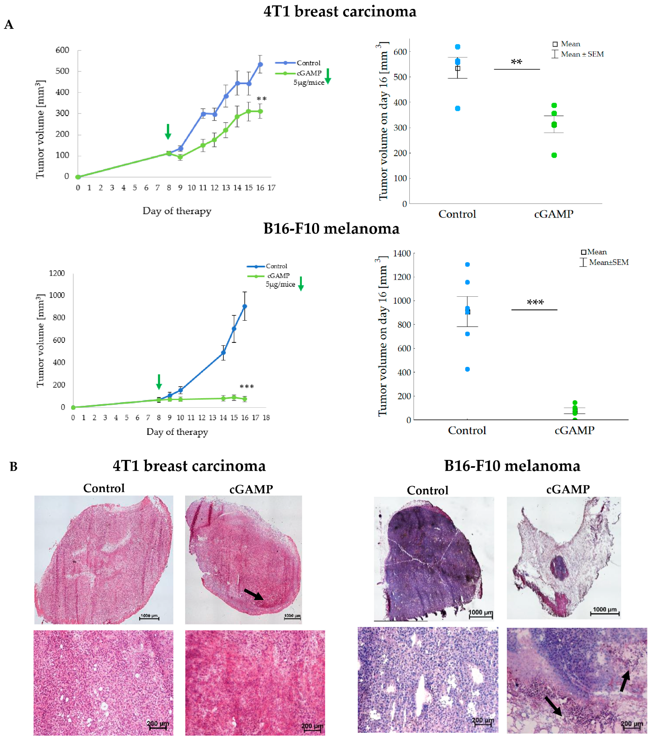 Cancers 17 00175 g002