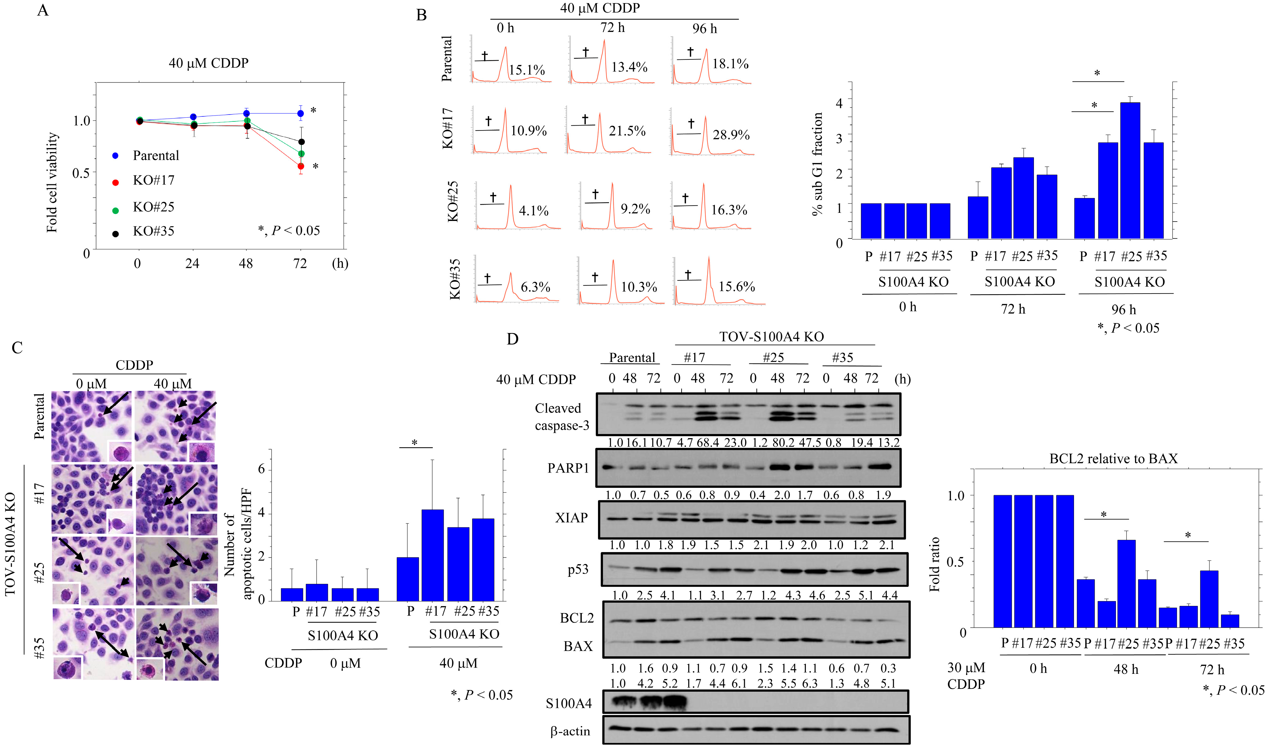 Cancers 17 00184 g002