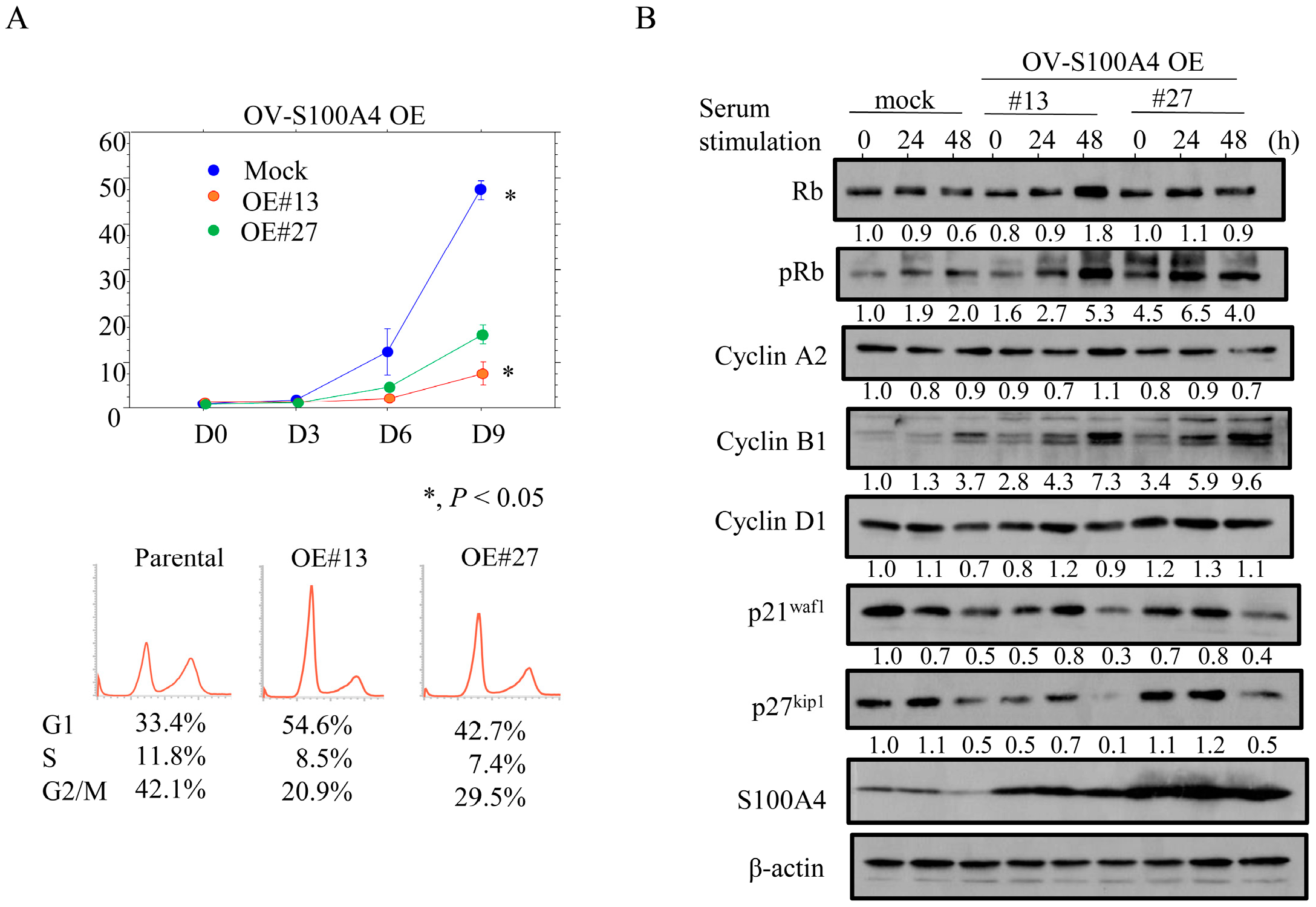 Cancers 17 00184 g003